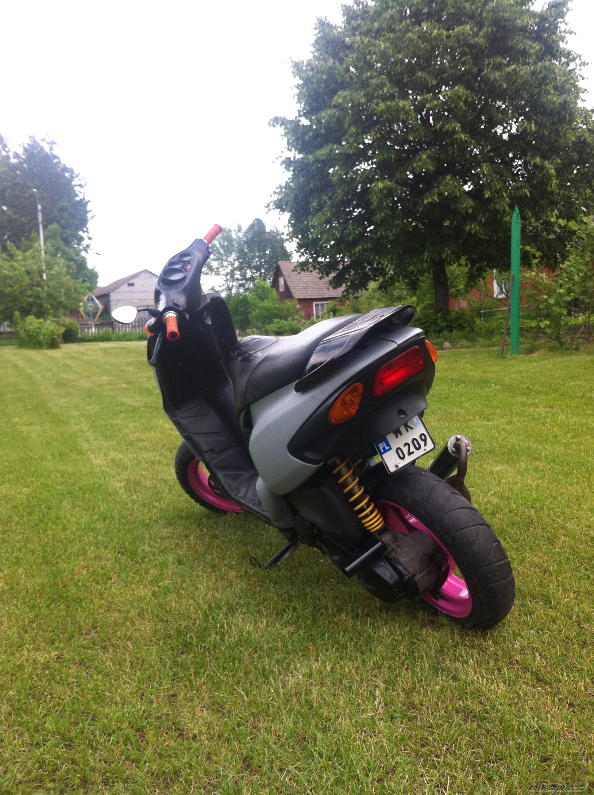 Photo 2563245