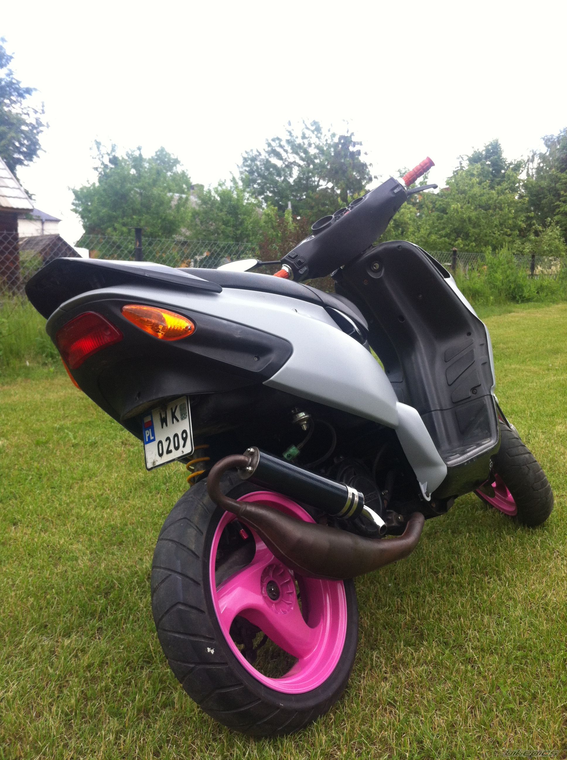Photo 2563246