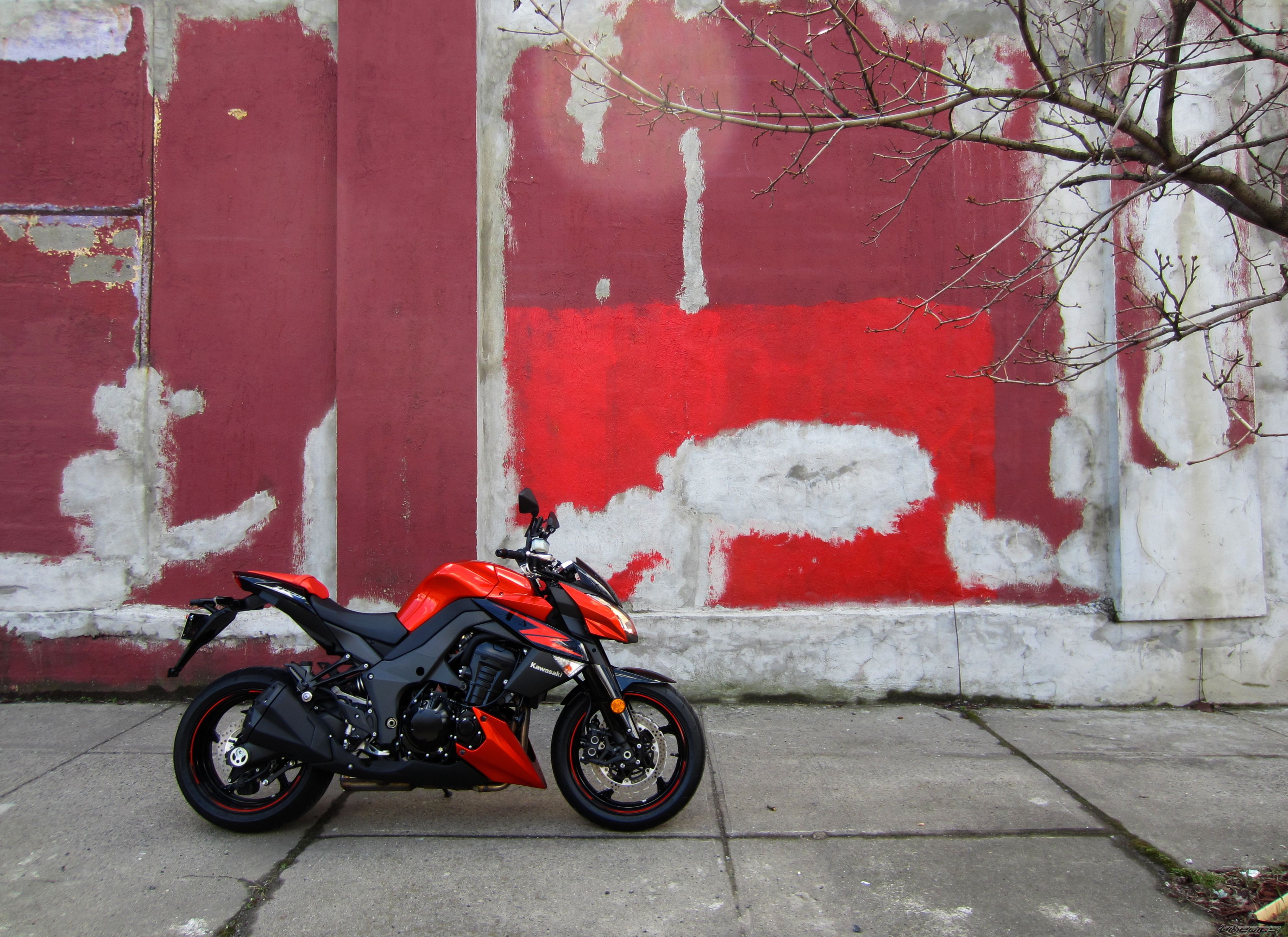 Photo 2563322