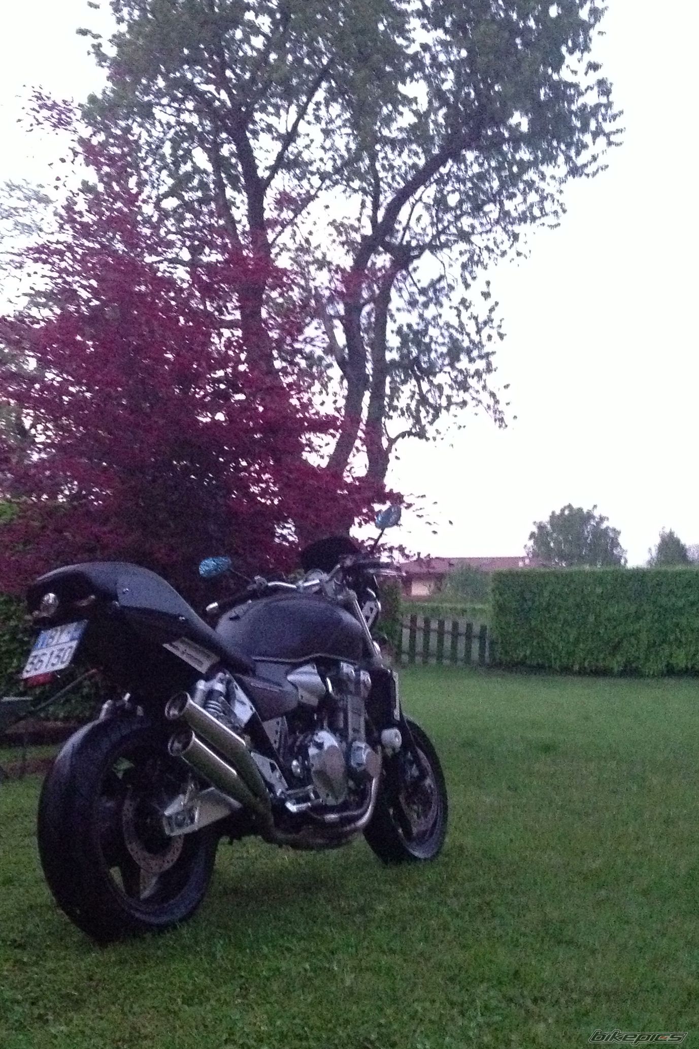 Photo 2563366