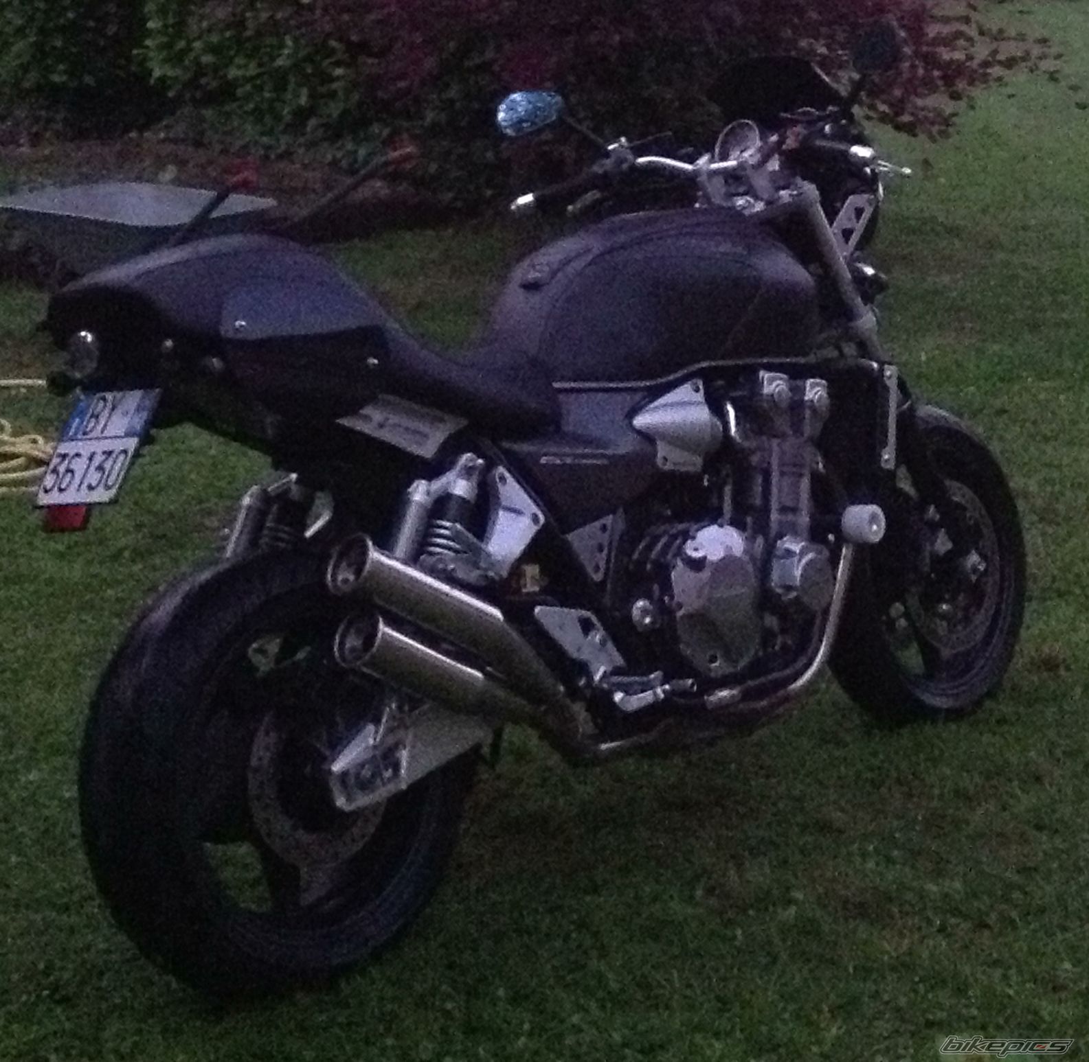 Photo 2563367
