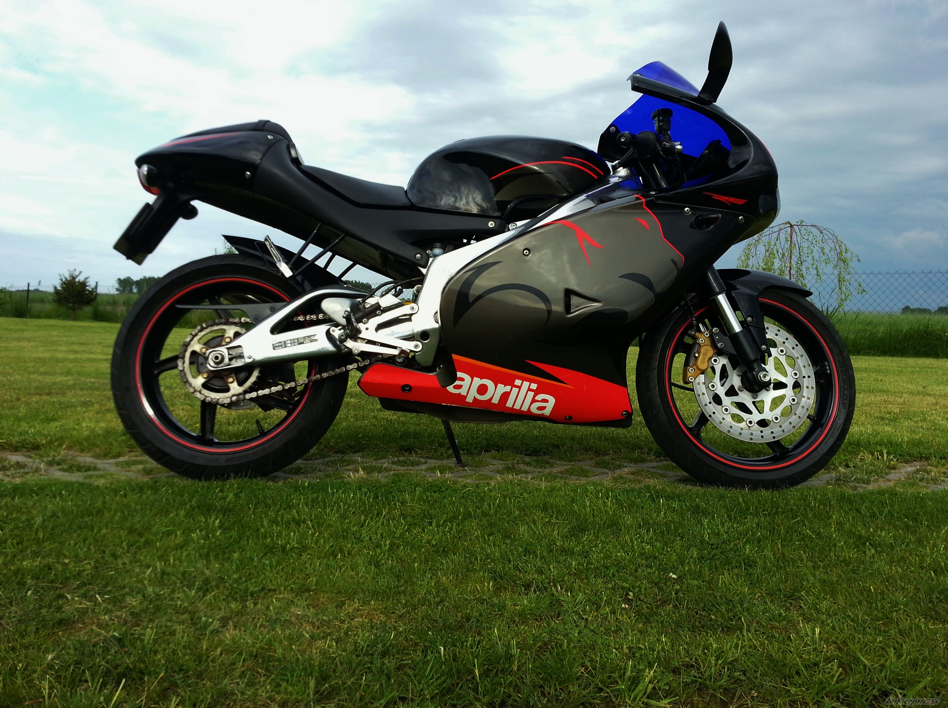 Photo 2563373