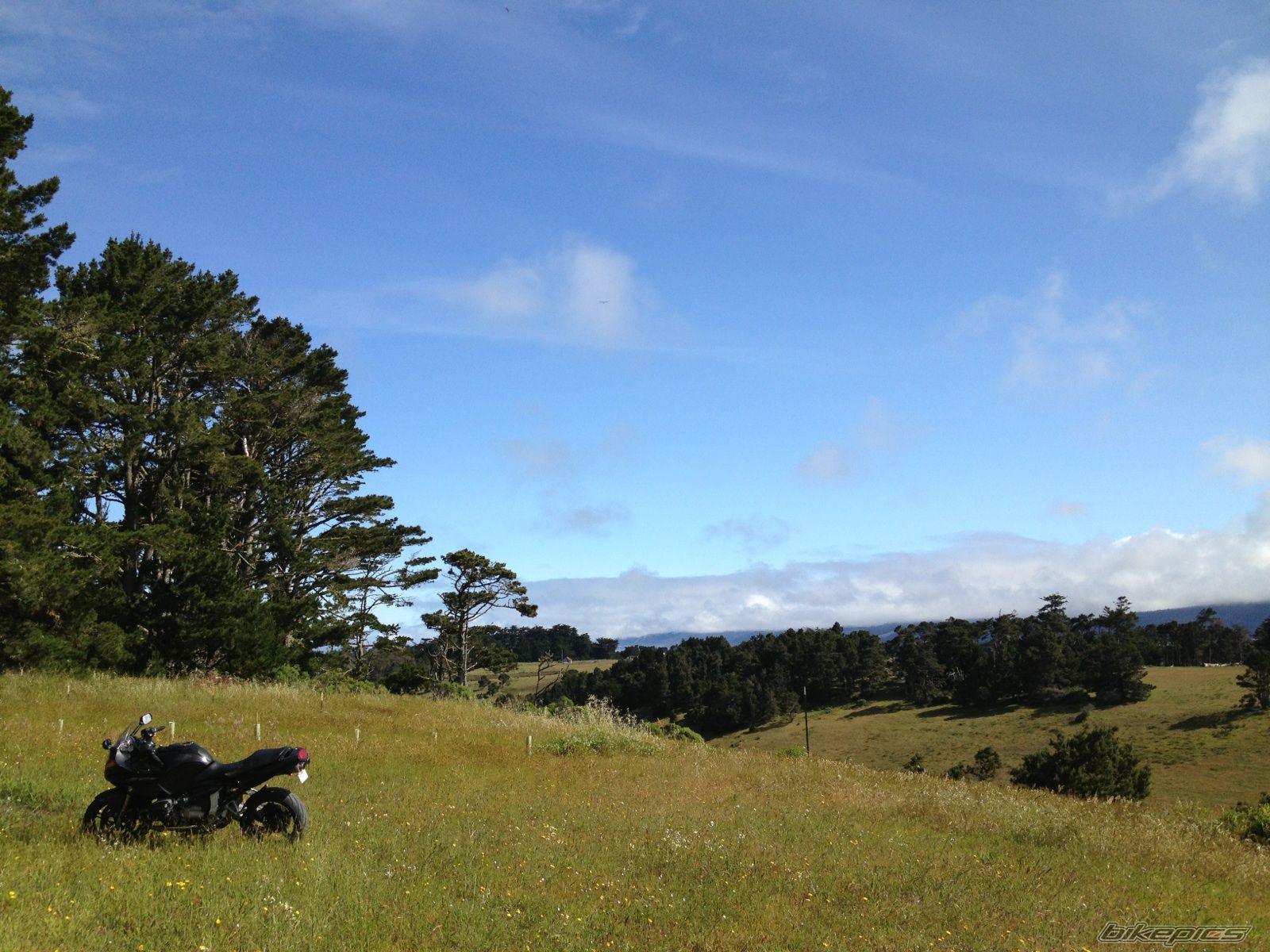 Photo 2563381