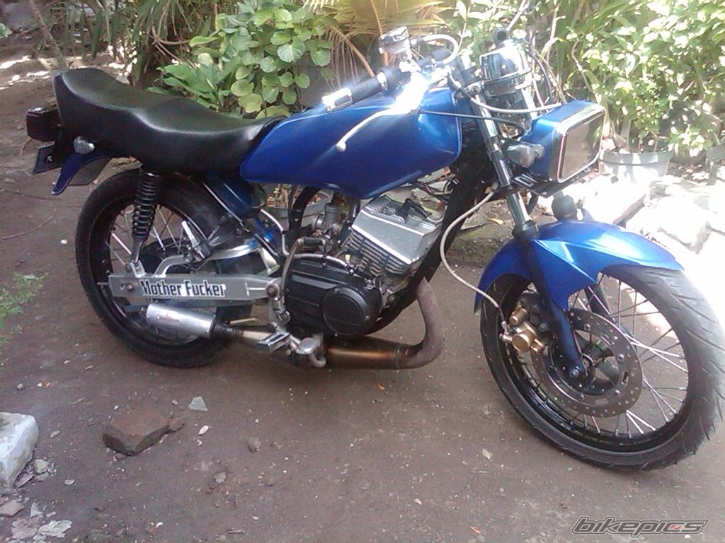 Photo 2563385