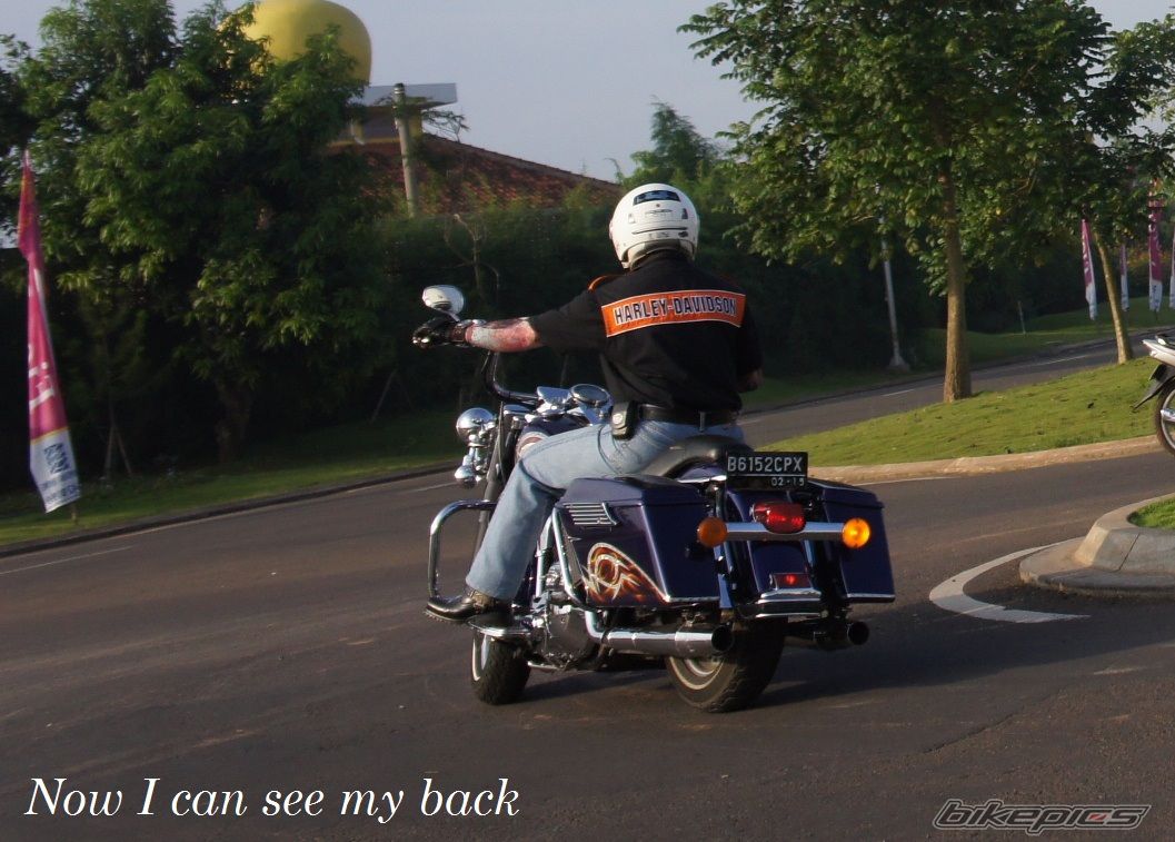 Photo 2563387