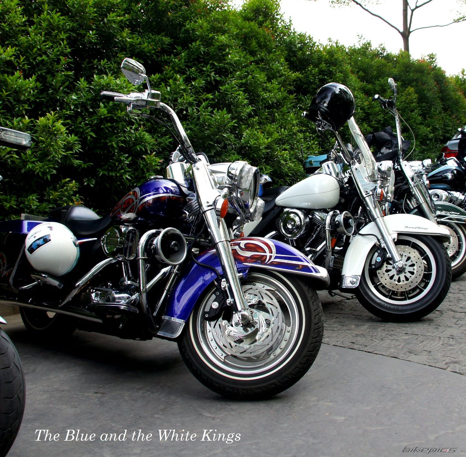 Bike Photo 2563399