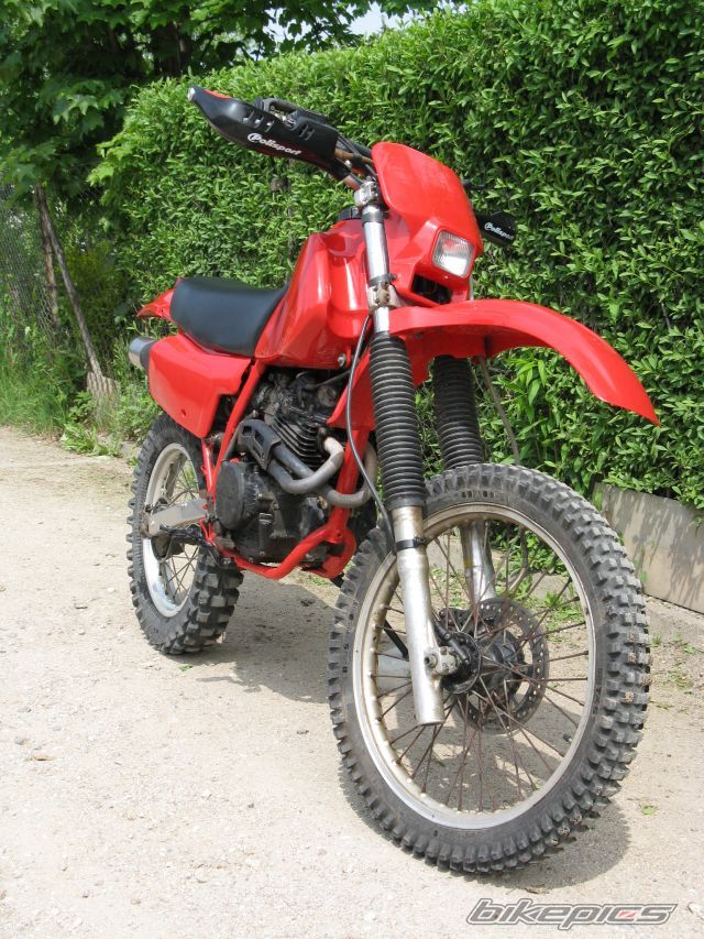 Photo 2563423