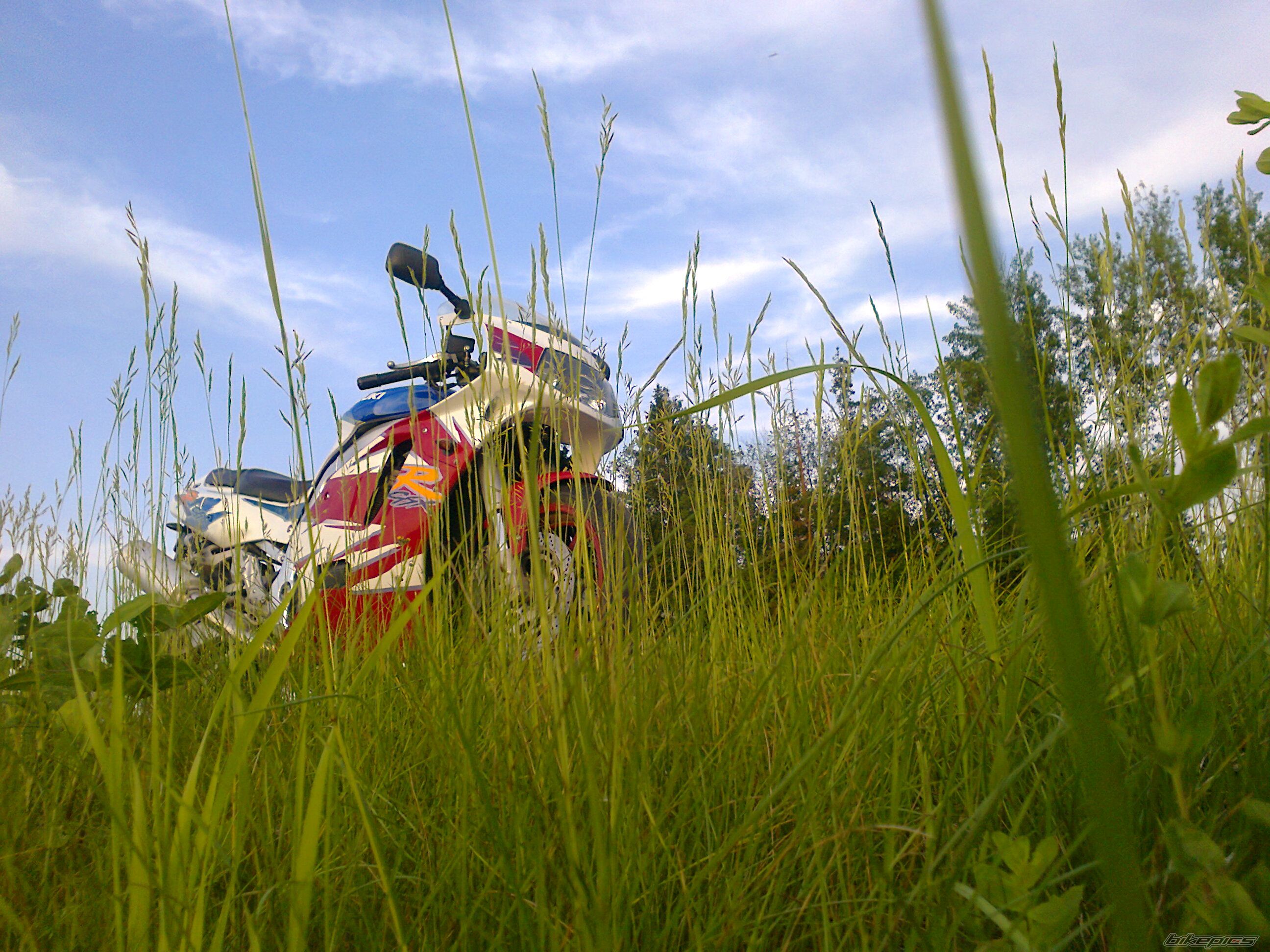 Photo 2563475
