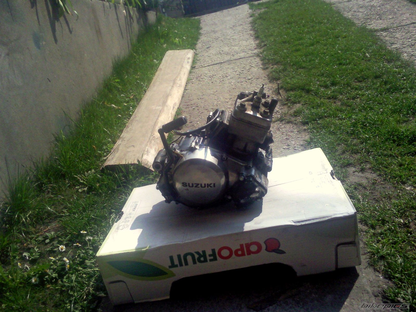 Photo 2563522