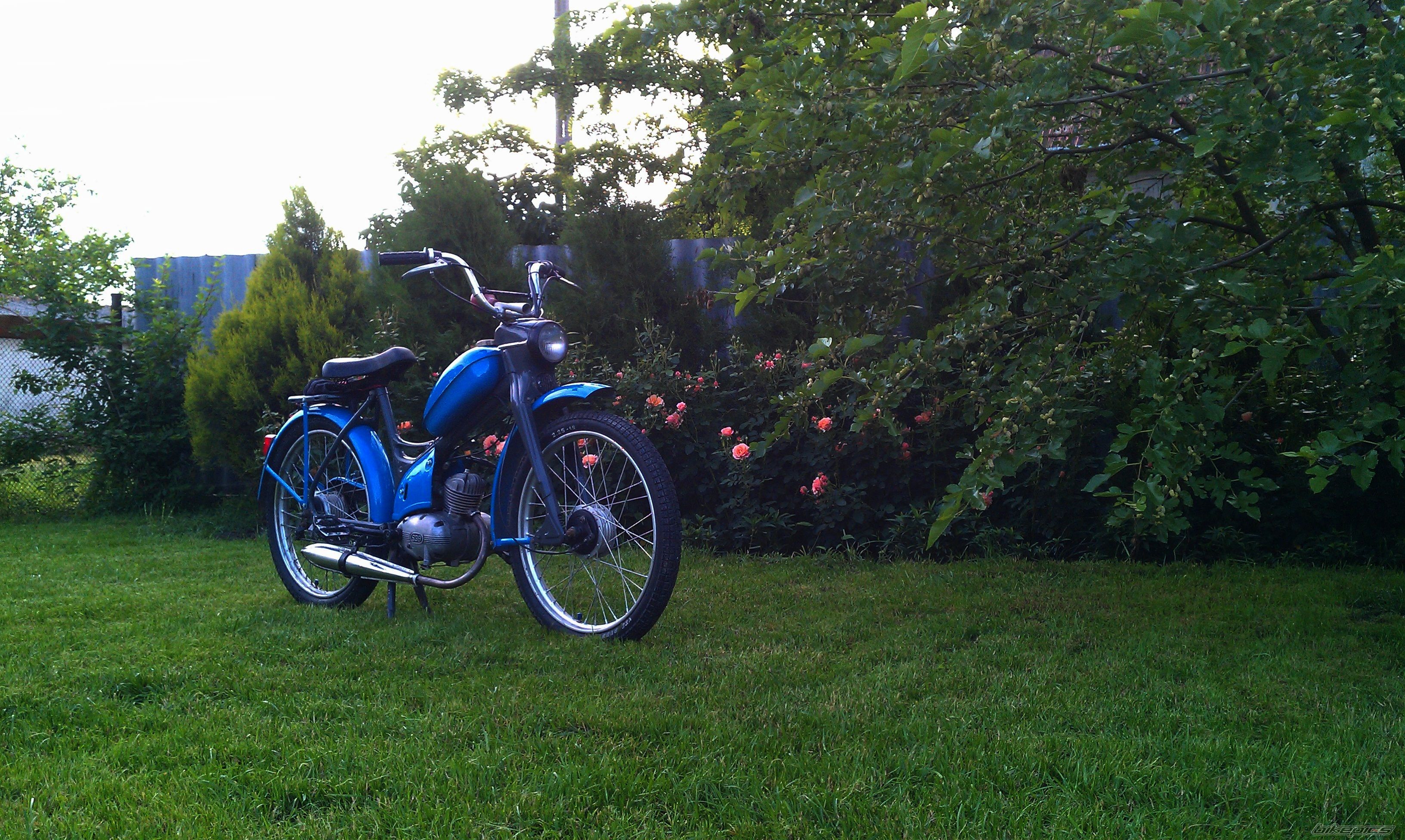 Photo 2563540