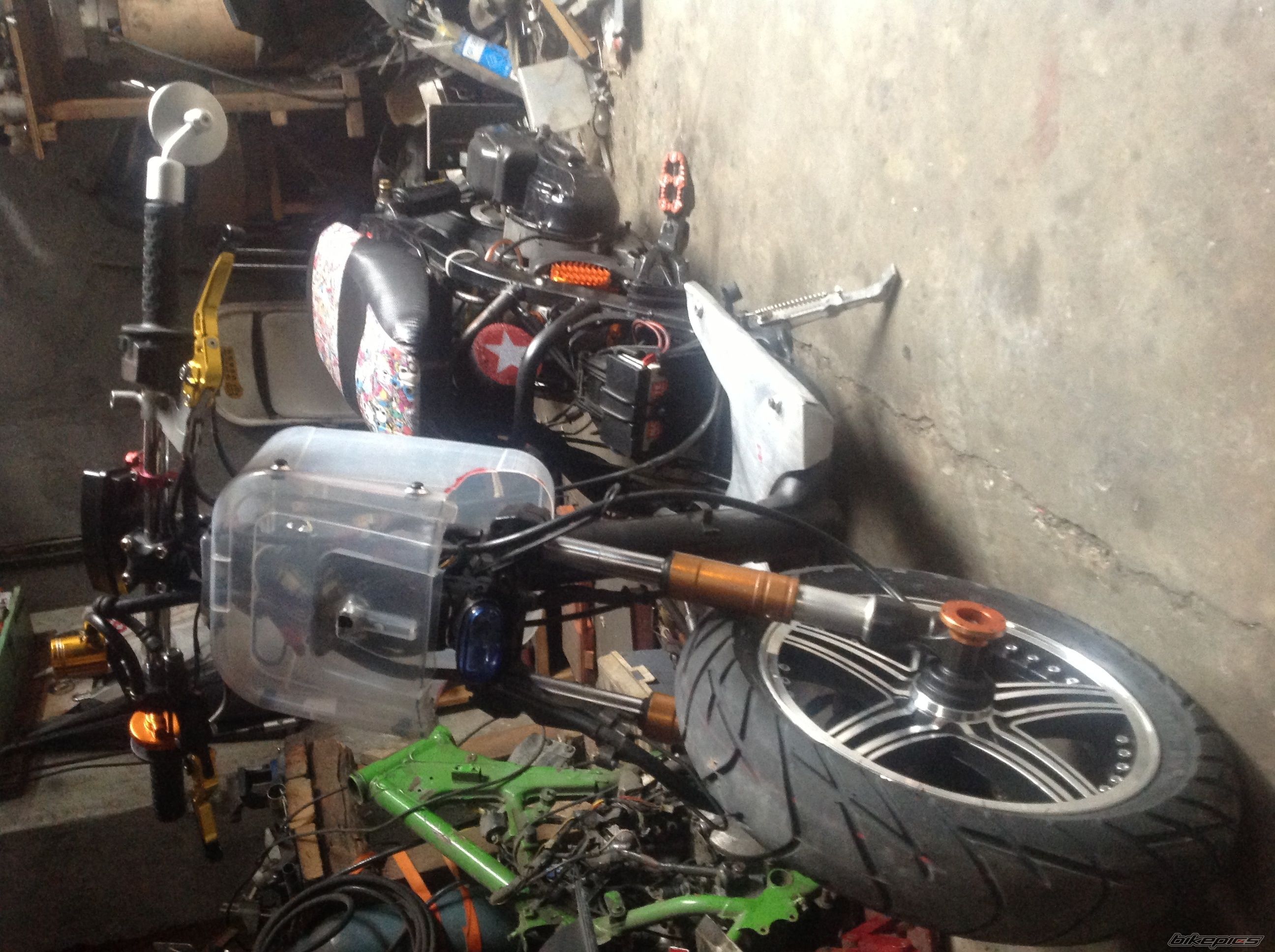 Photo 2563681