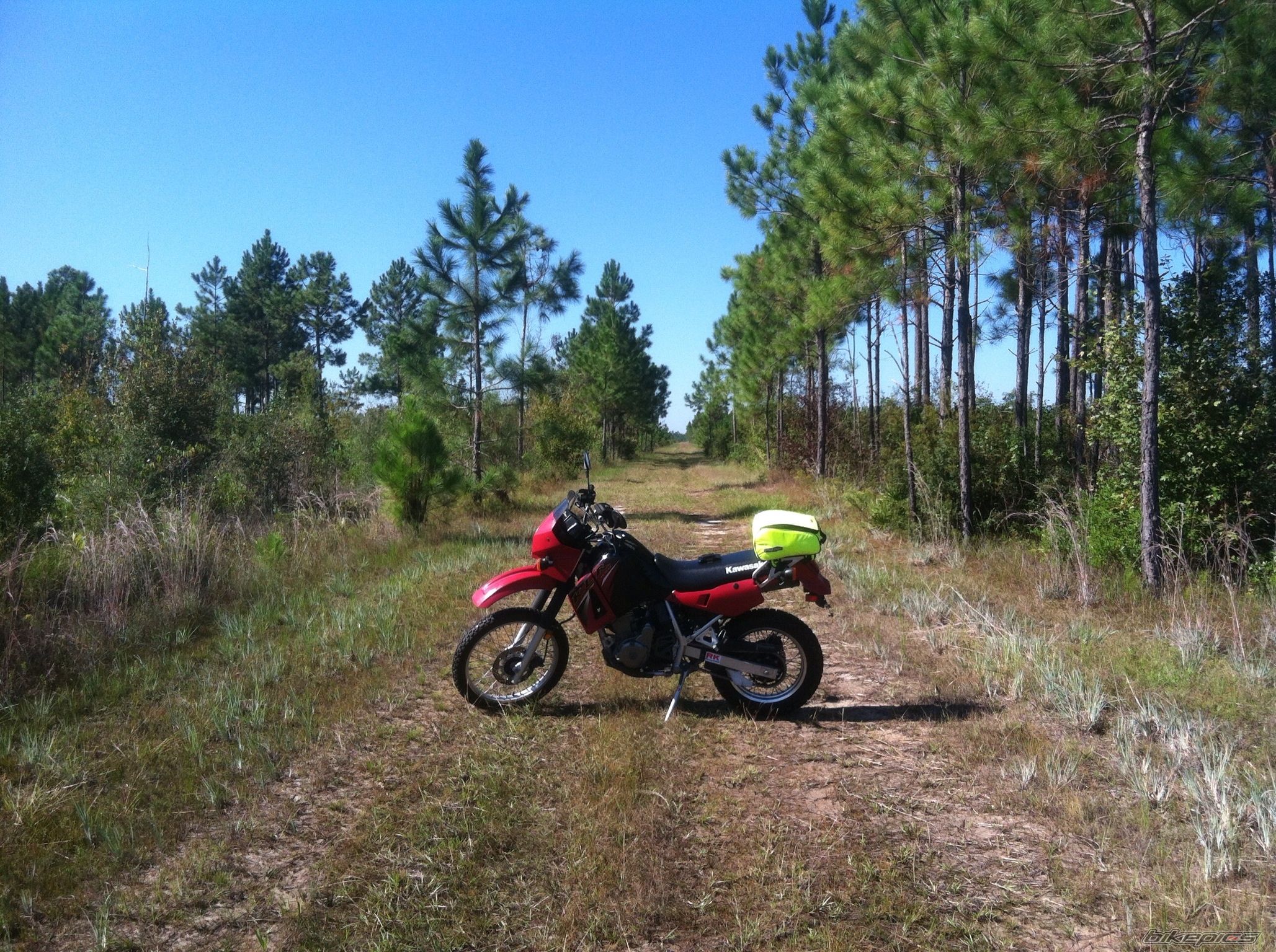 Photo 2563689