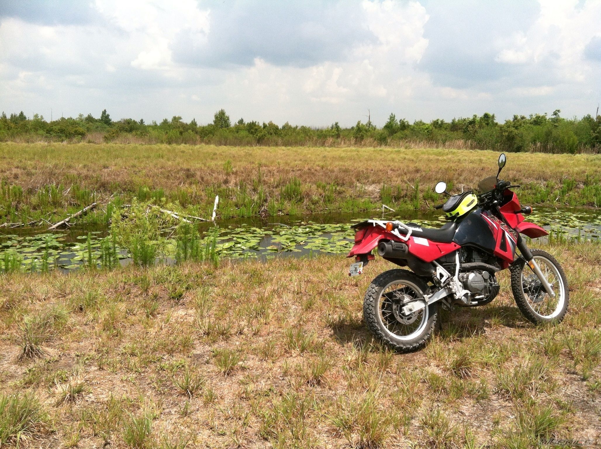 Photo 2563691