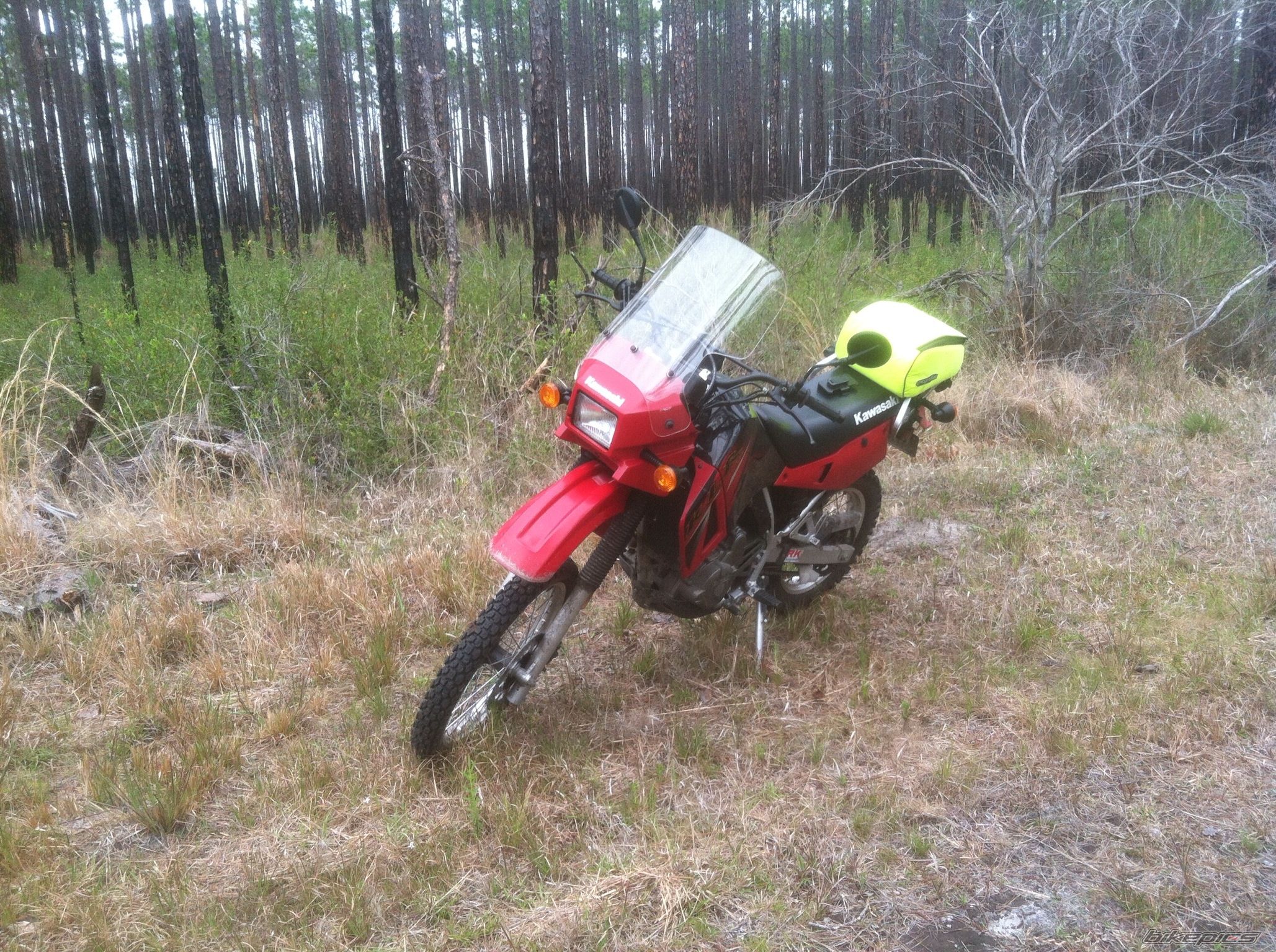 Photo 2563692