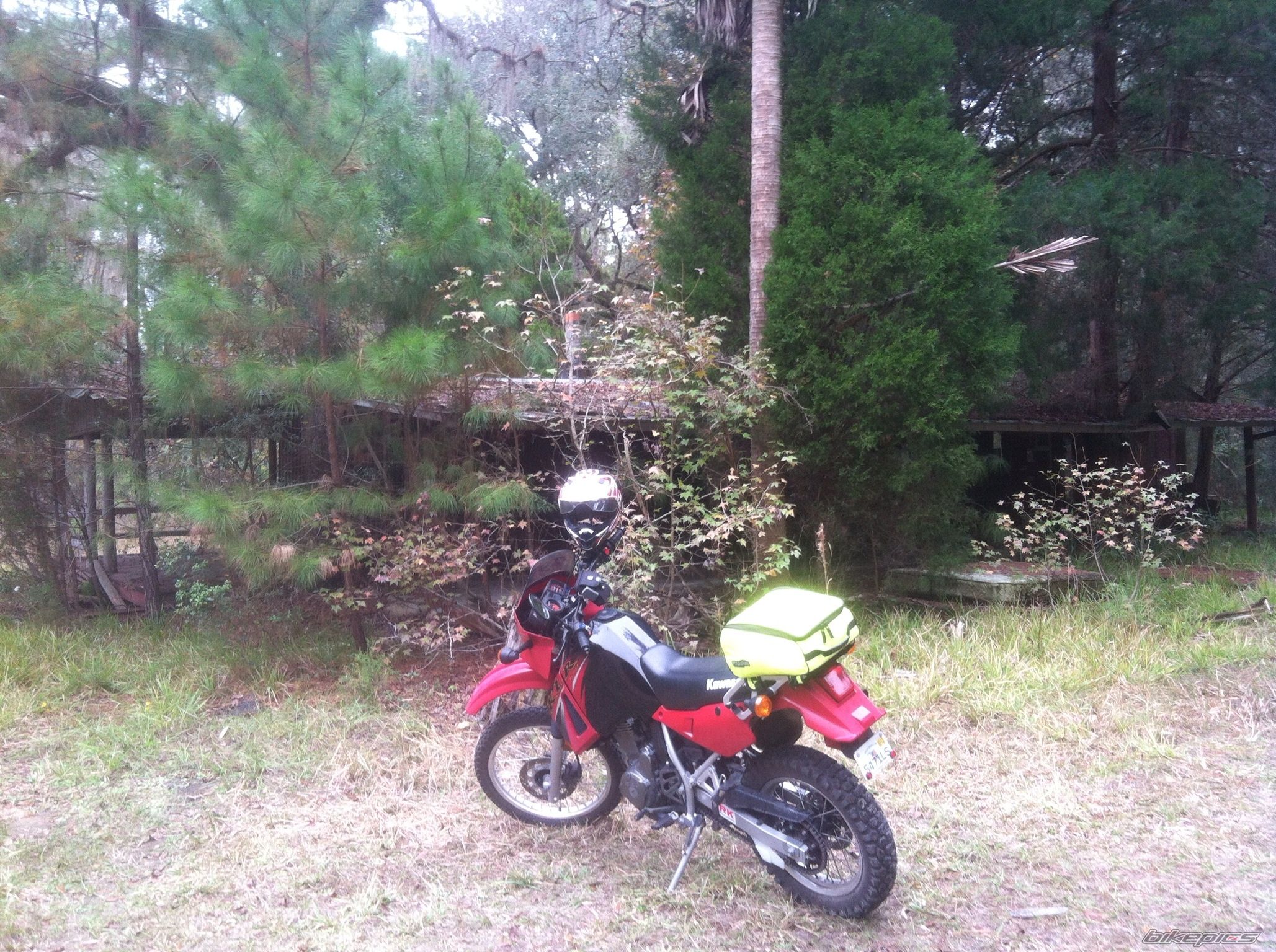 Photo 2563694