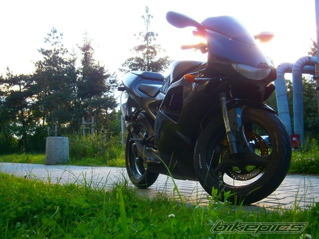 Photo 2563718
