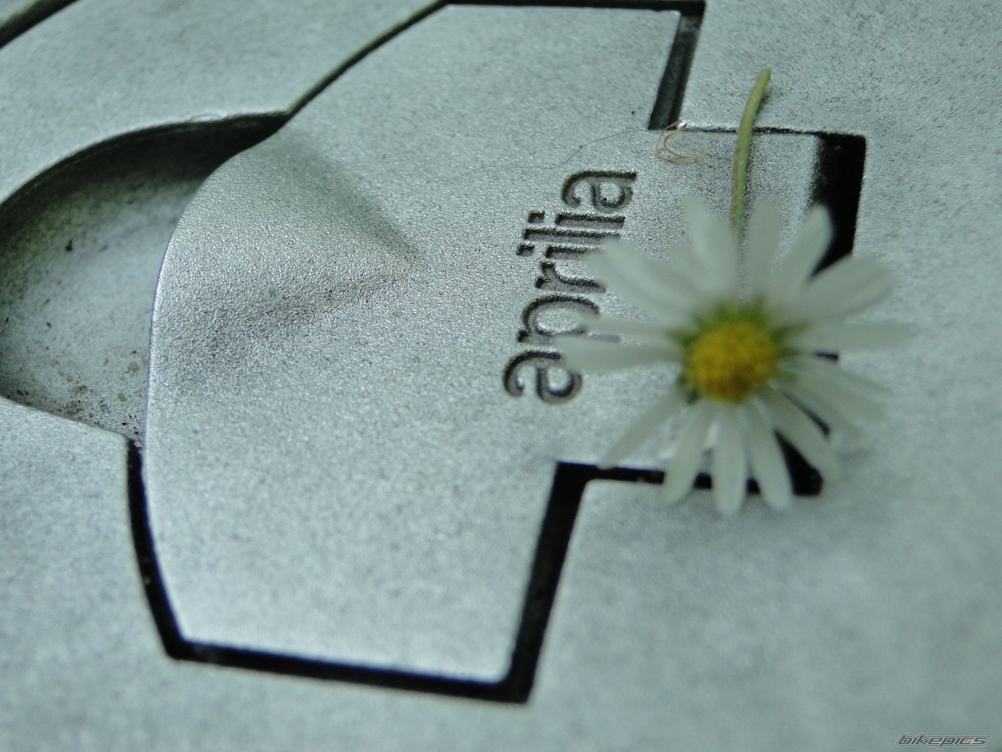 Photo 2563719