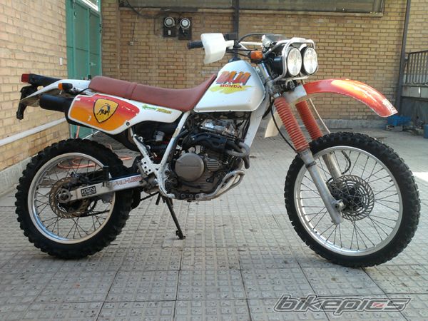 Photo 2563761