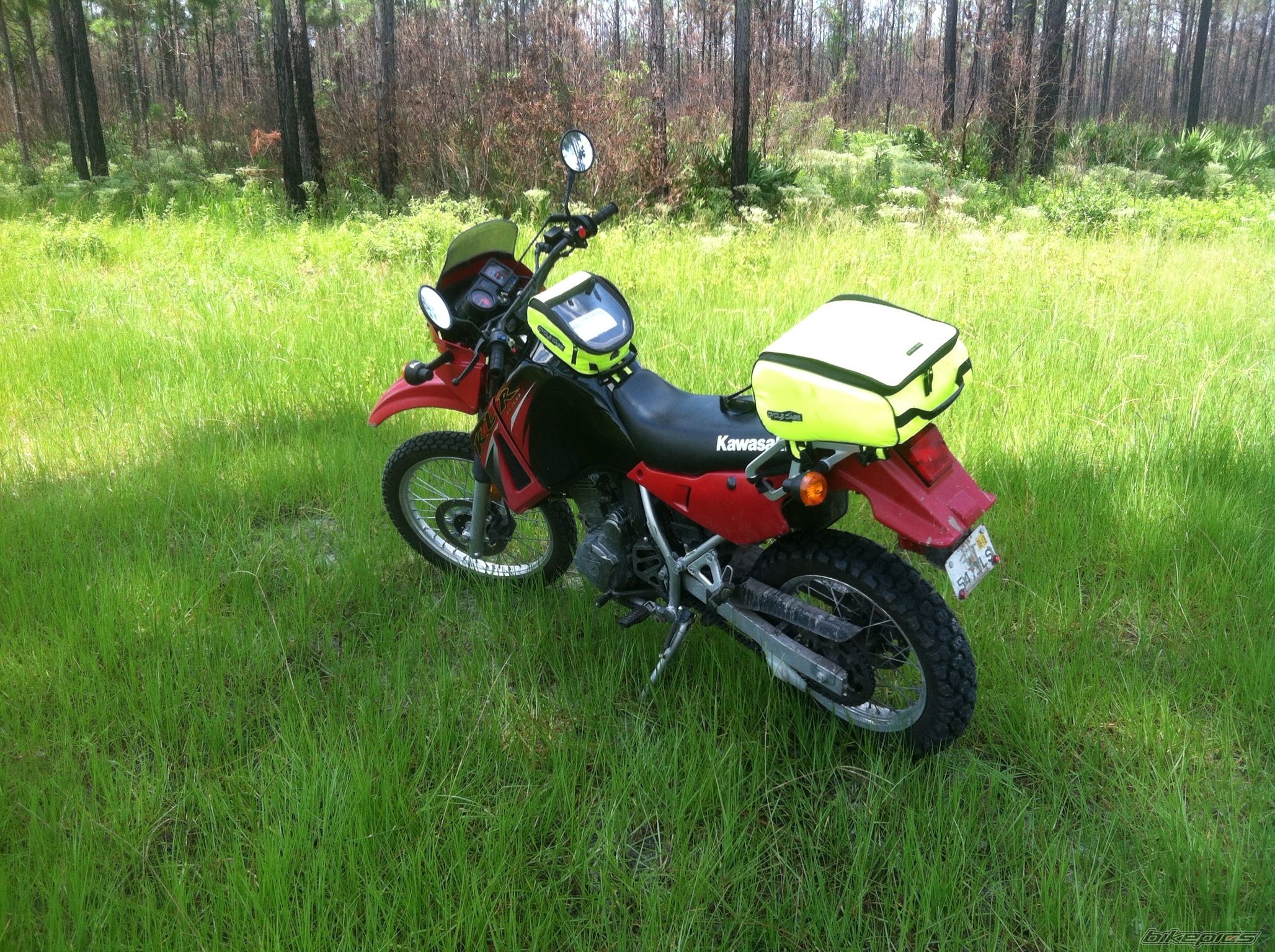 Photo 2563787
