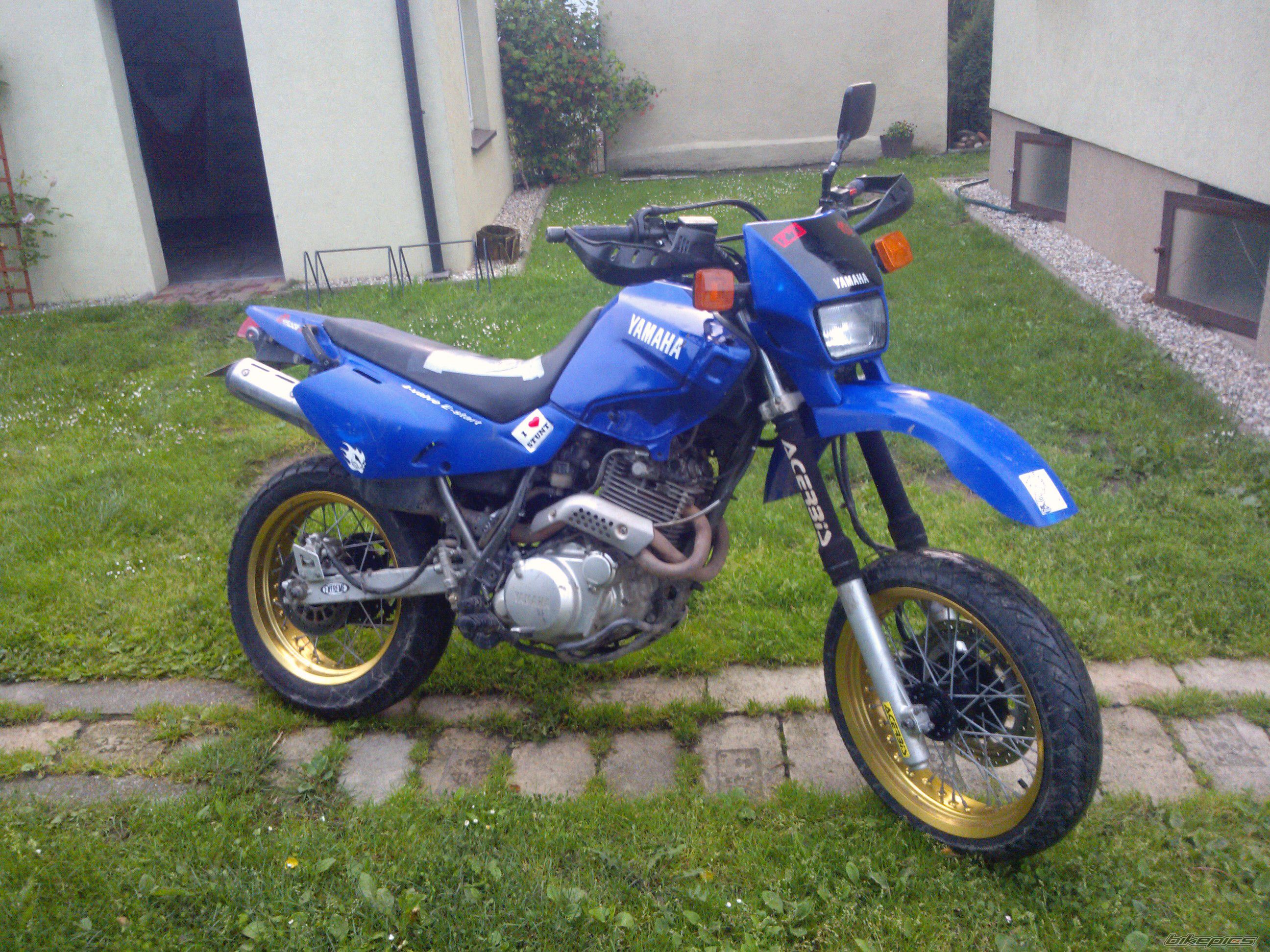 Photo 2563839