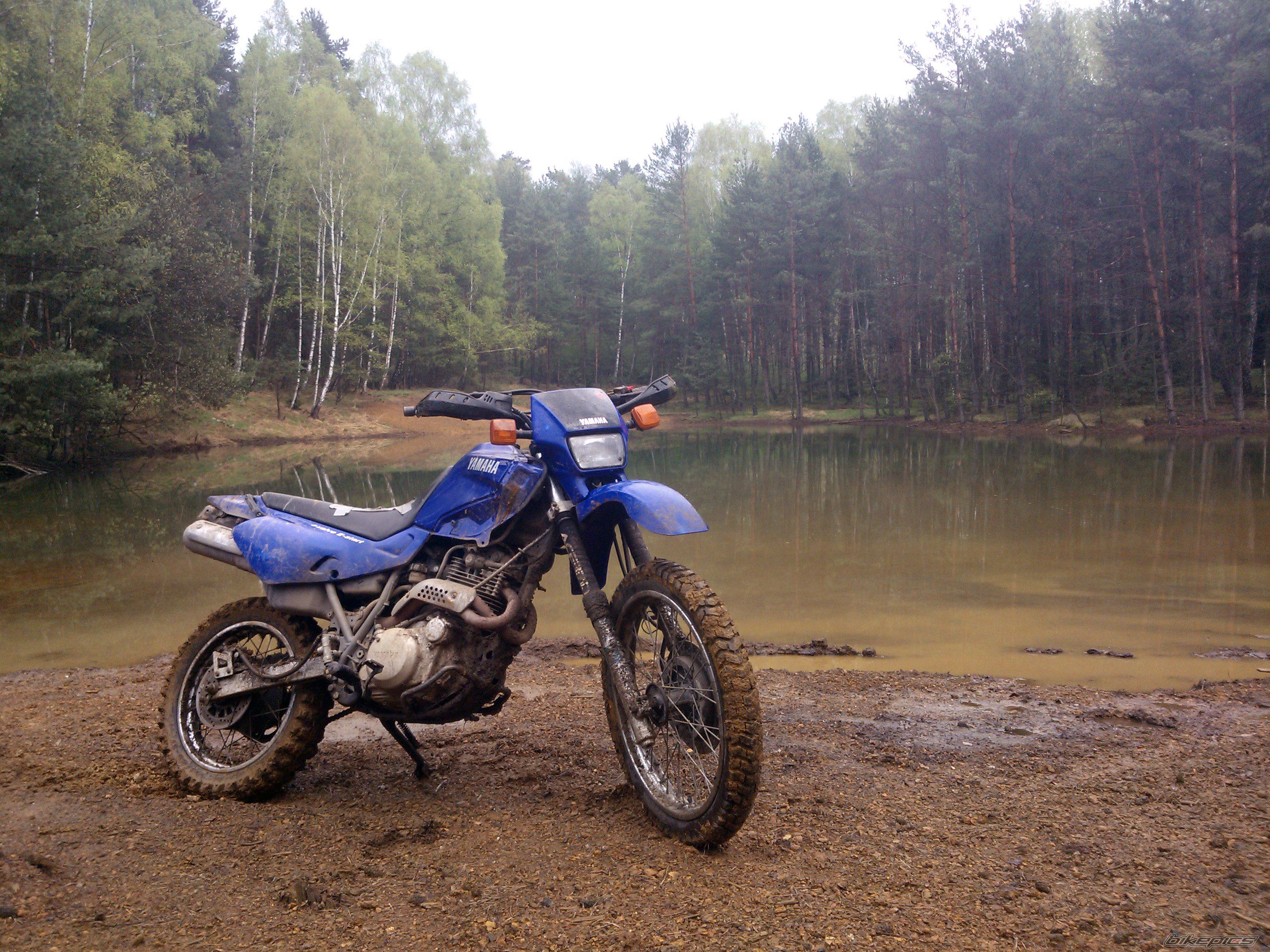 Photo 2563841