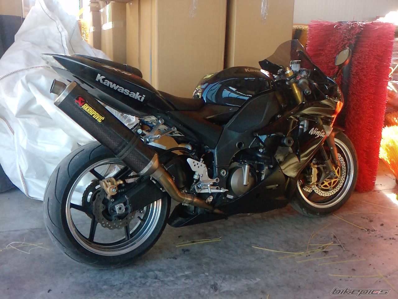 Photo 2563844
