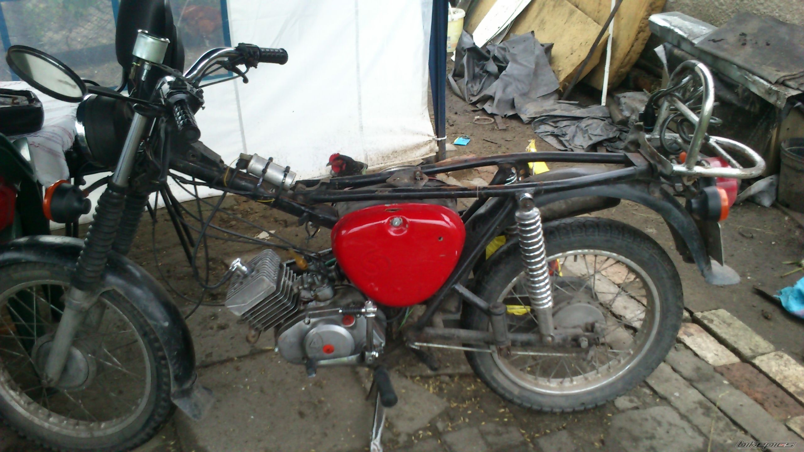 Photo 2563850
