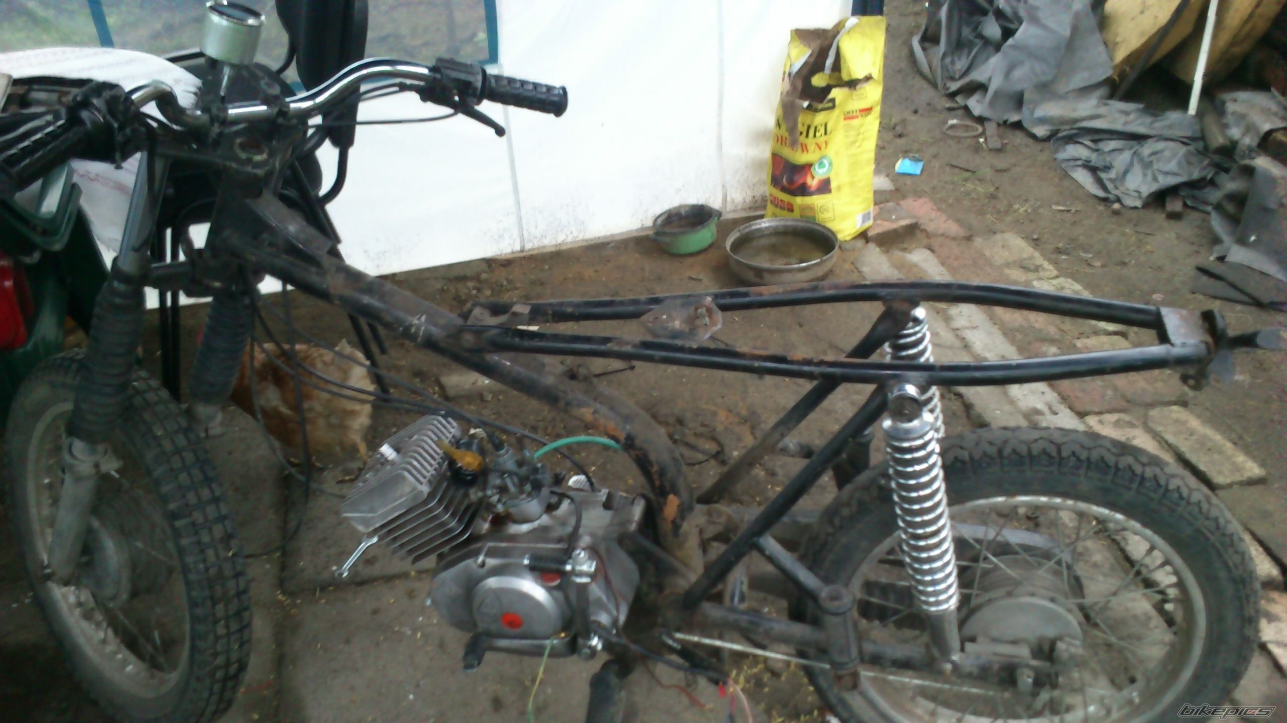 Photo 2563854