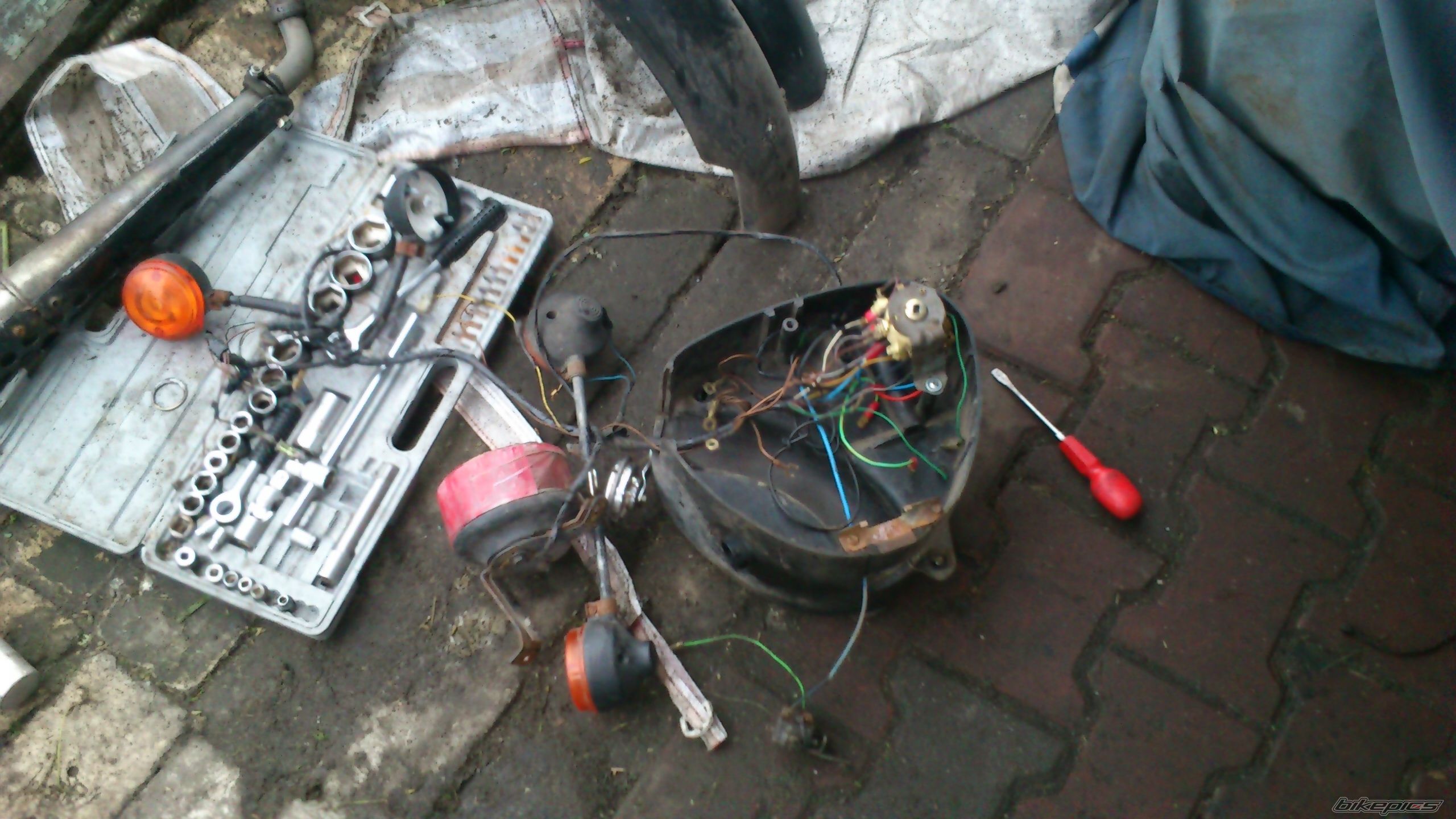 Photo 2563855