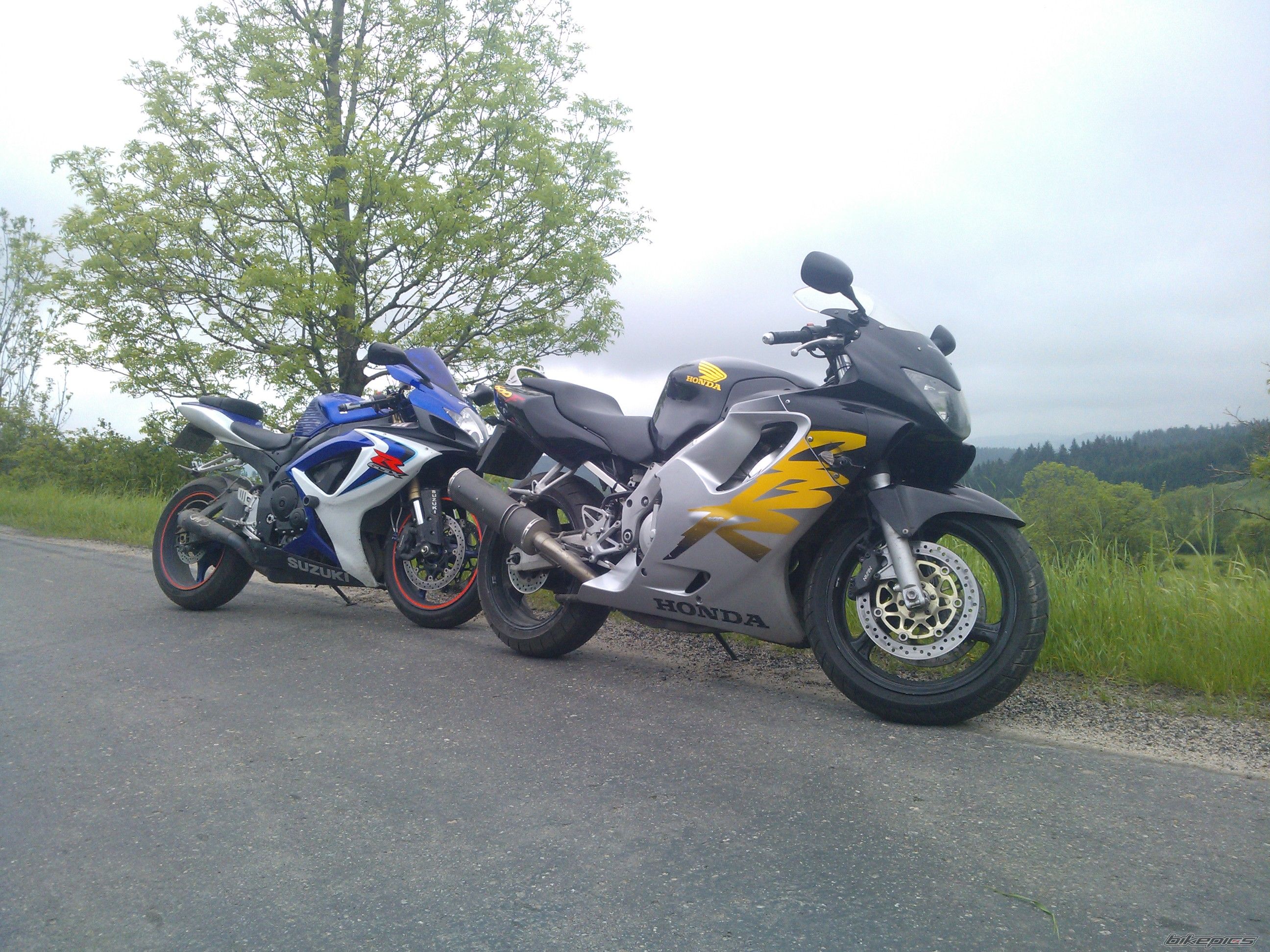 Photo 2563895