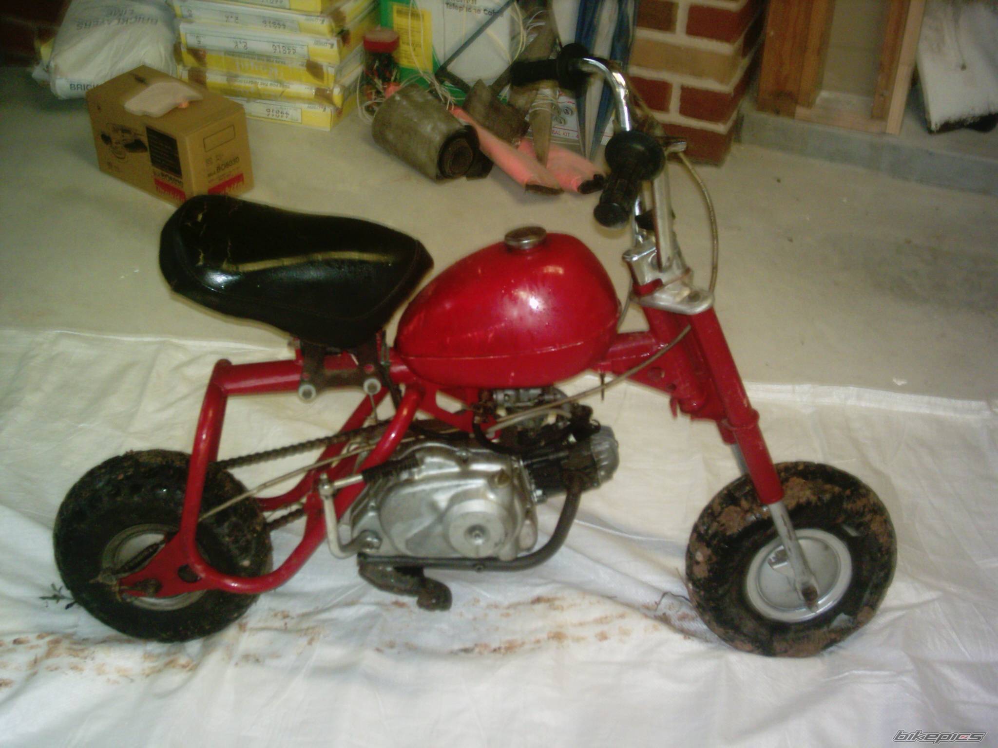 Photo 256397