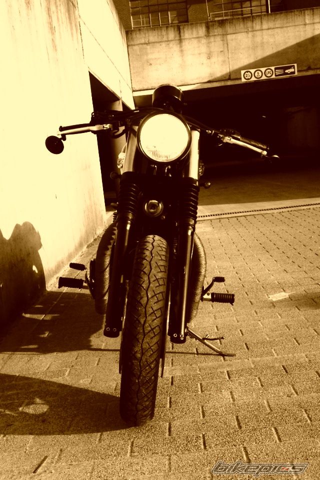 Photo 2564031