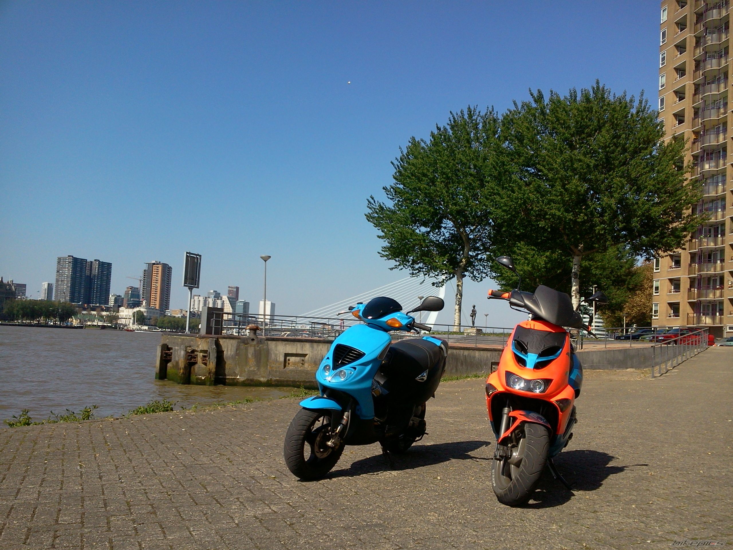 Photo 2564119