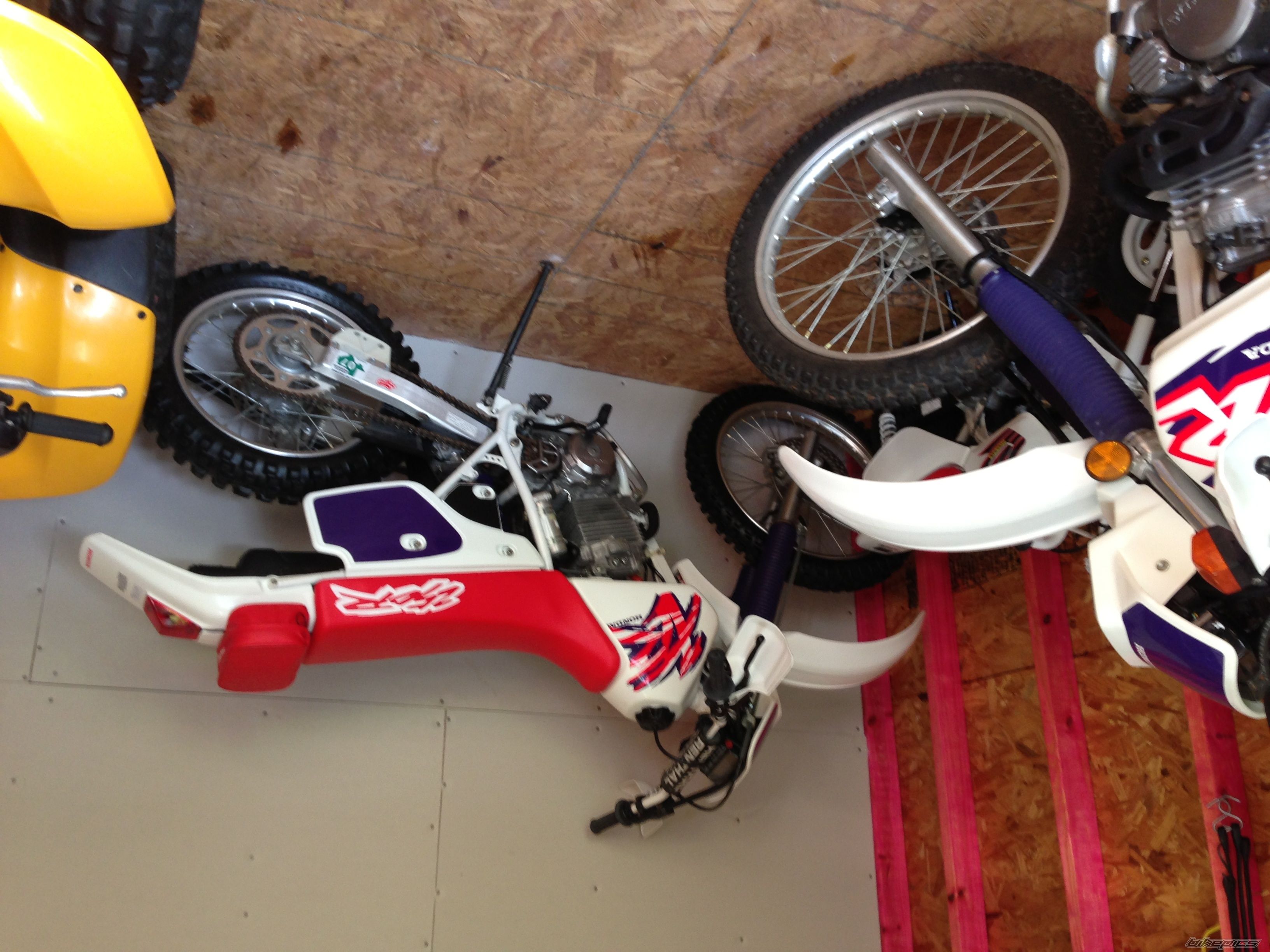 Photo 2564185