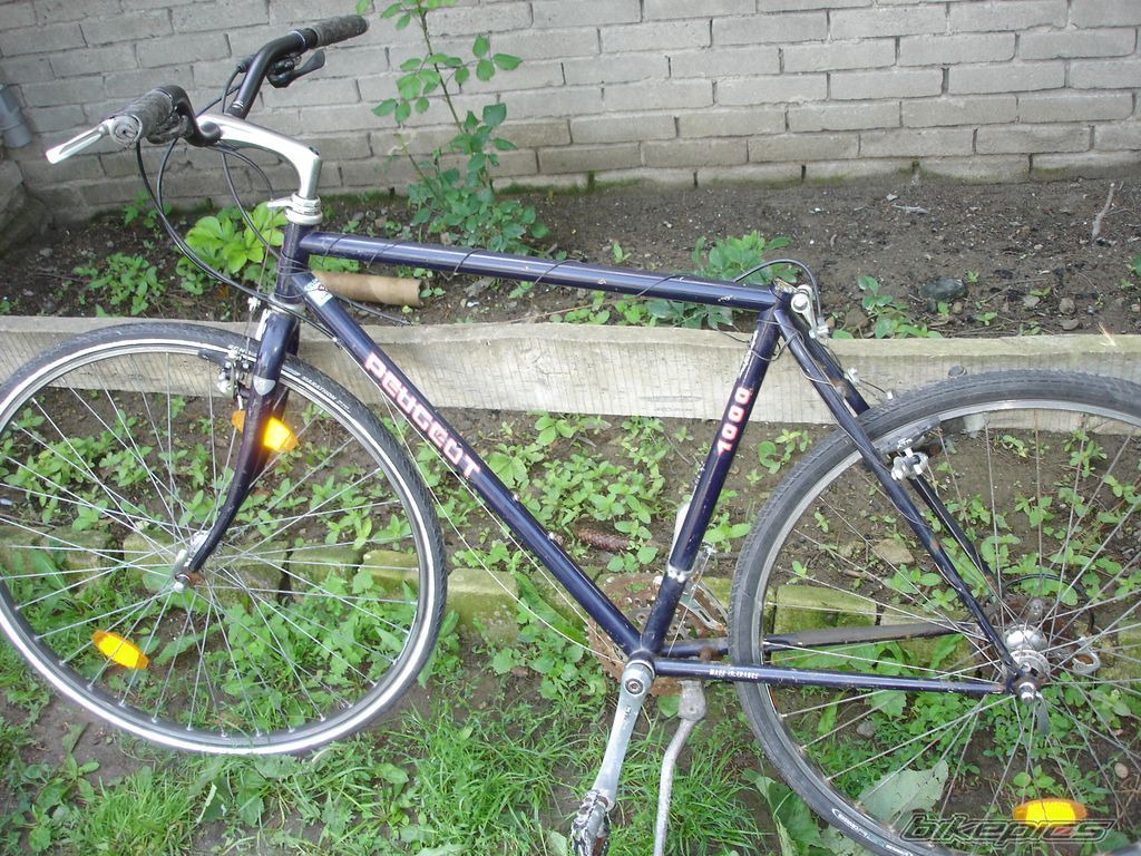 Photo 2564213