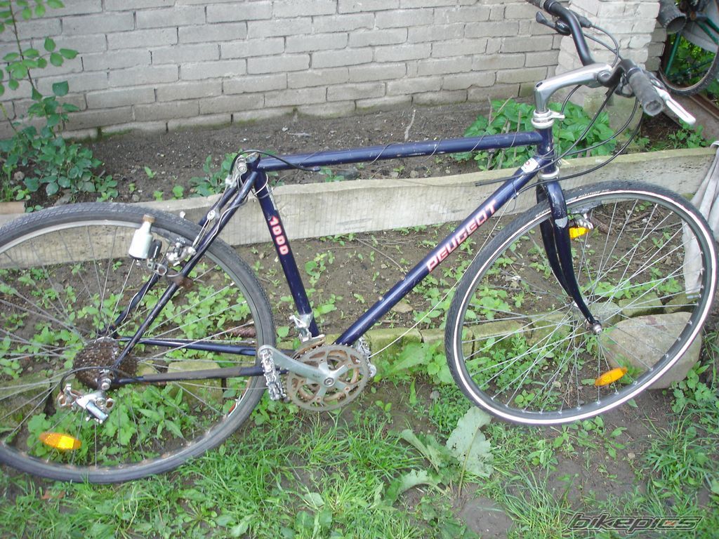 Photo 2564214