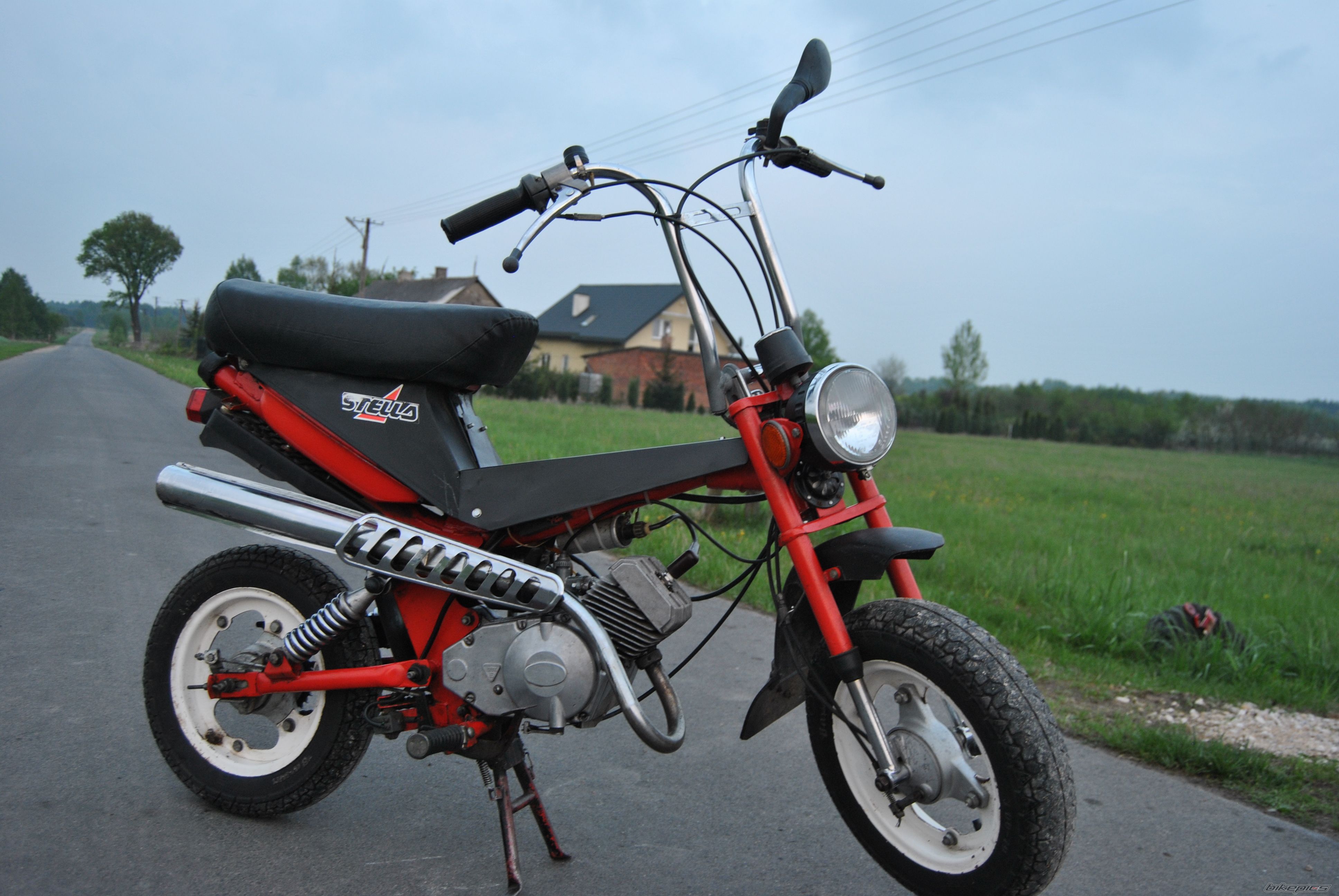 Photo 2564231