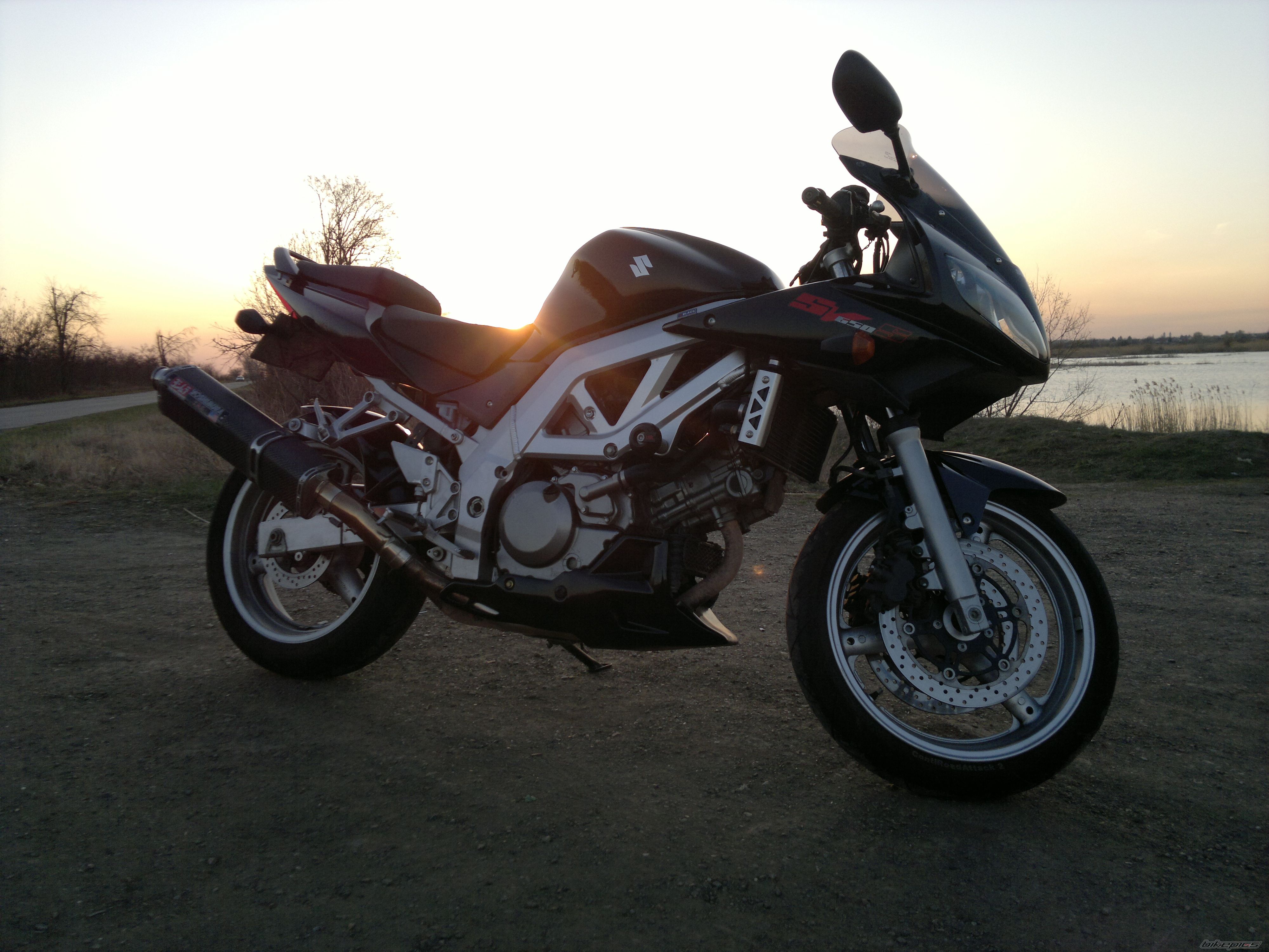 Photo 2564239