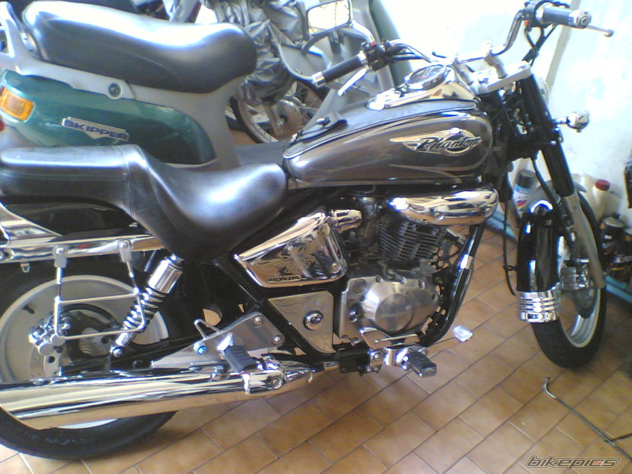 Photo 2564254