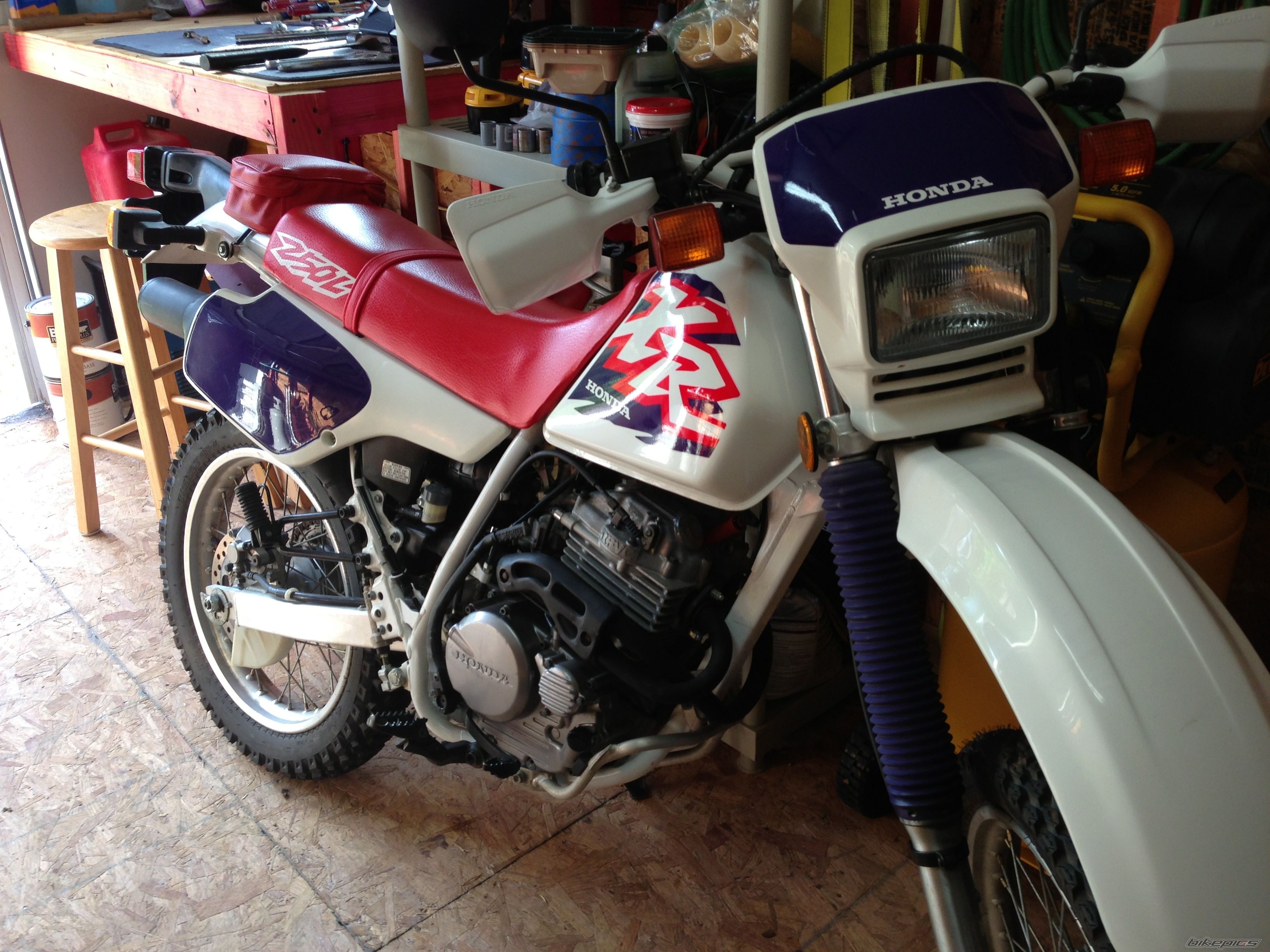 Photo 2564278