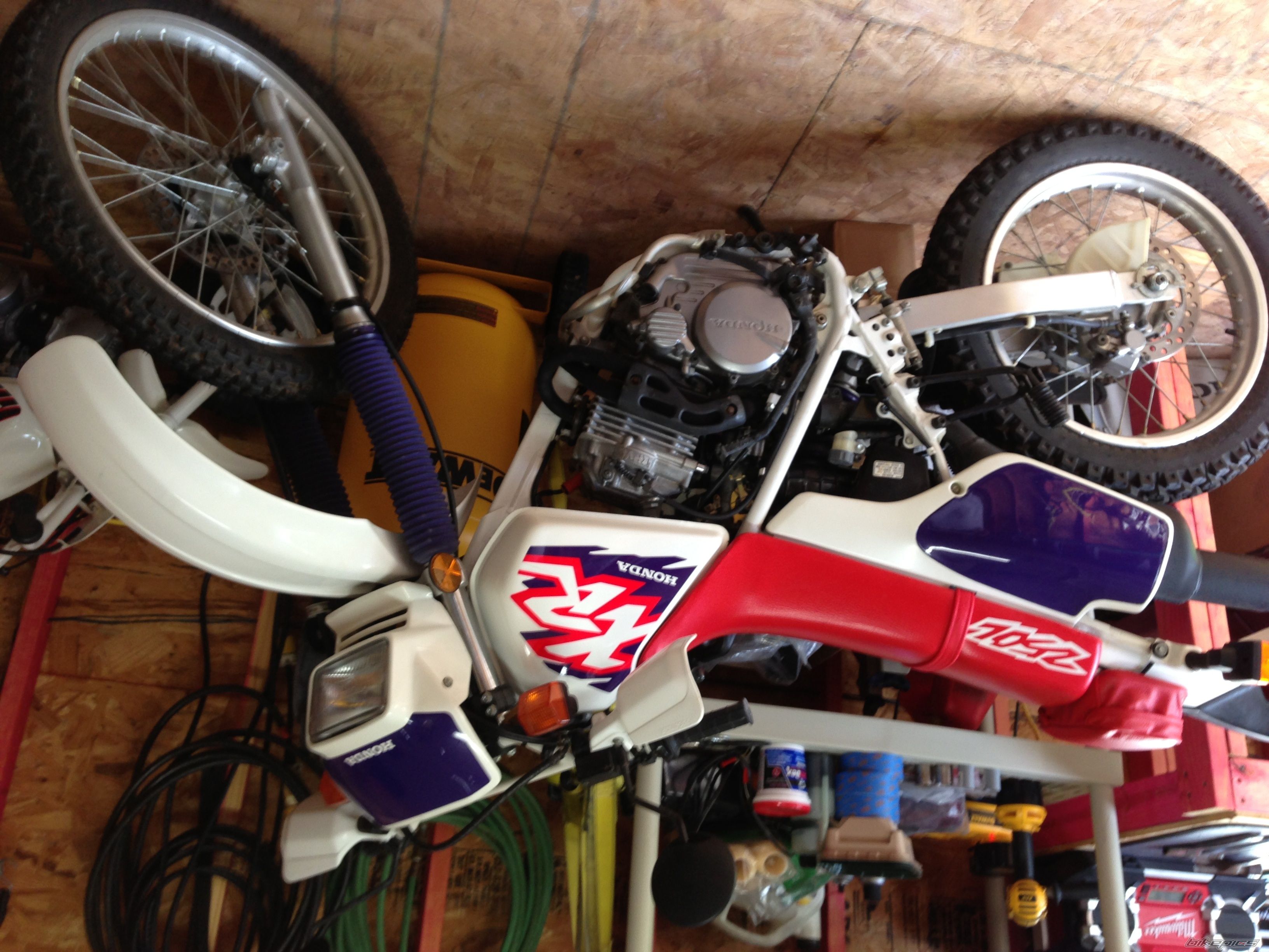 Photo 2564280