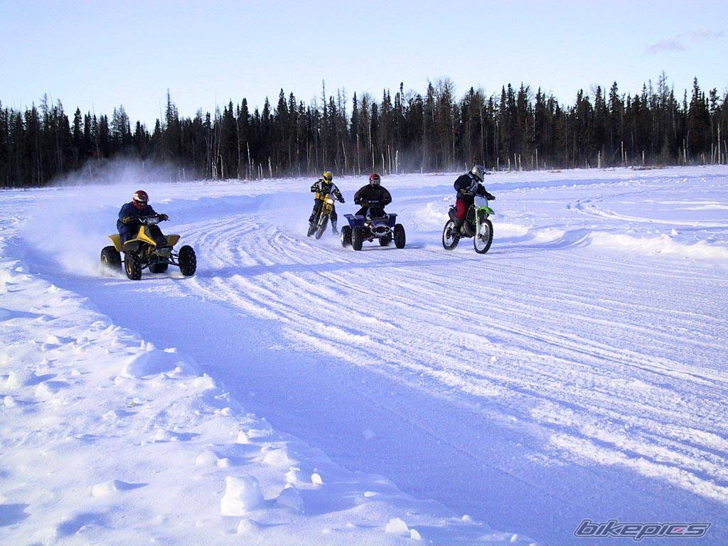 Photo 256429