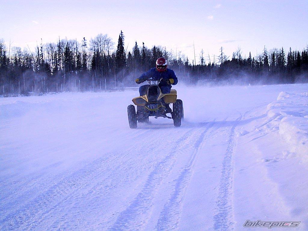 Photo 256431