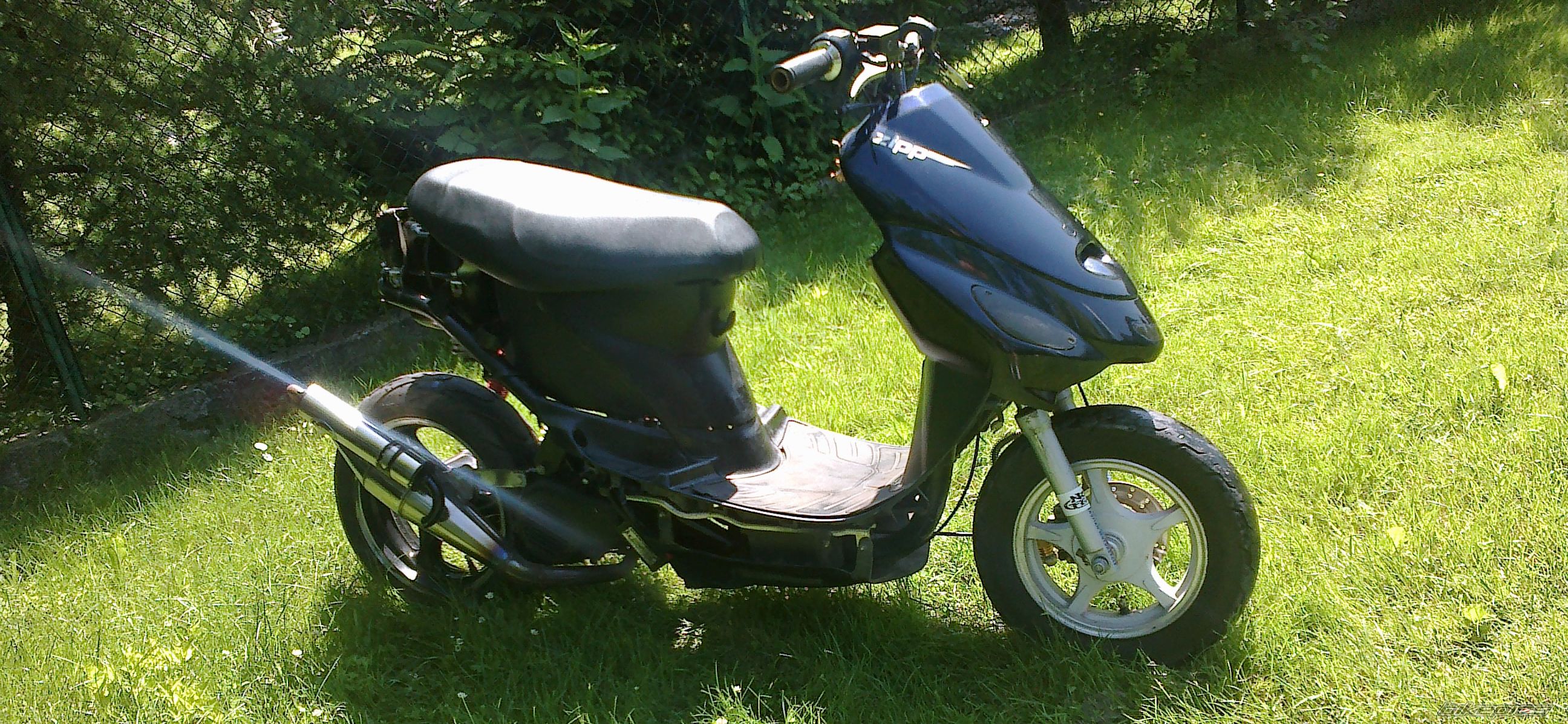 Photo 2564341