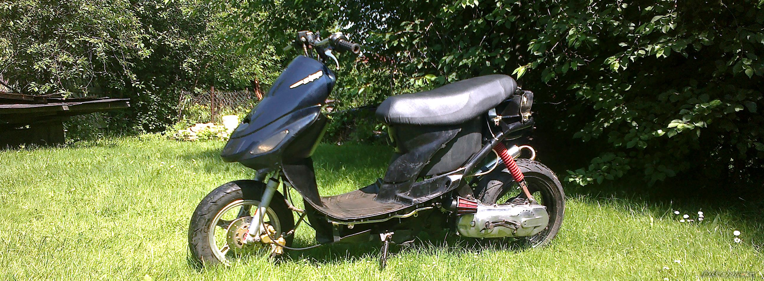 Photo 2564342