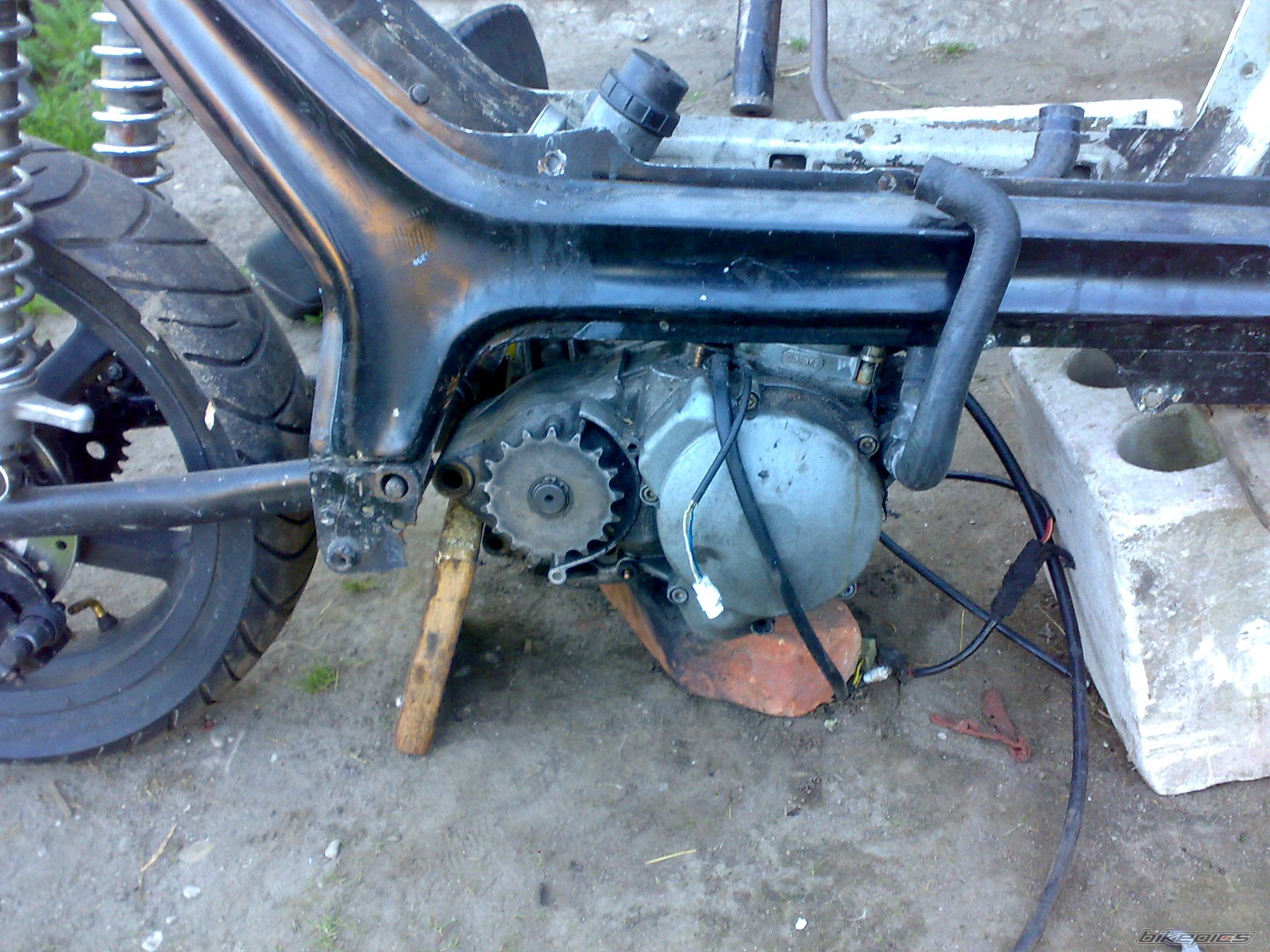 Photo 2564358