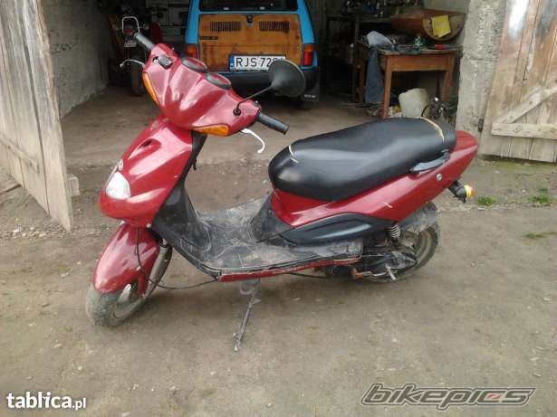 Photo 2564431