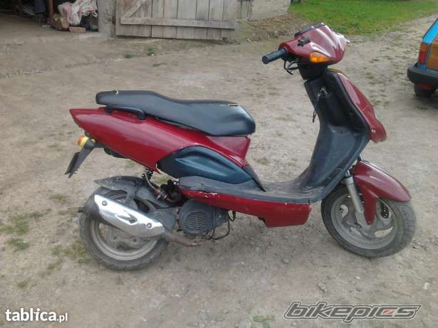 Photo 2564433