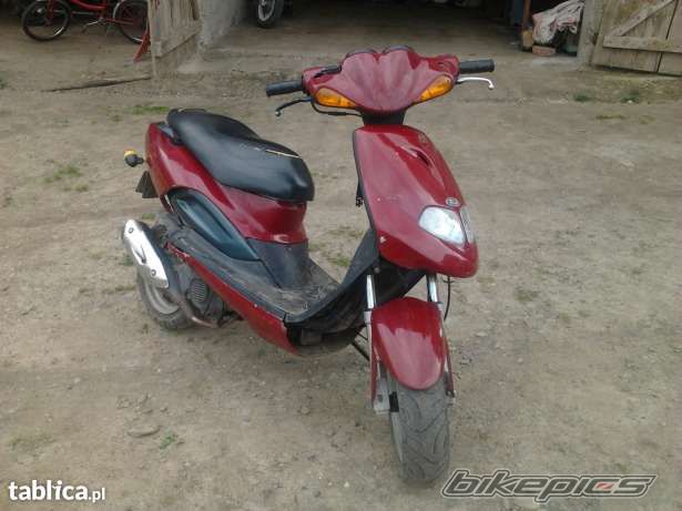 Photo 2564434