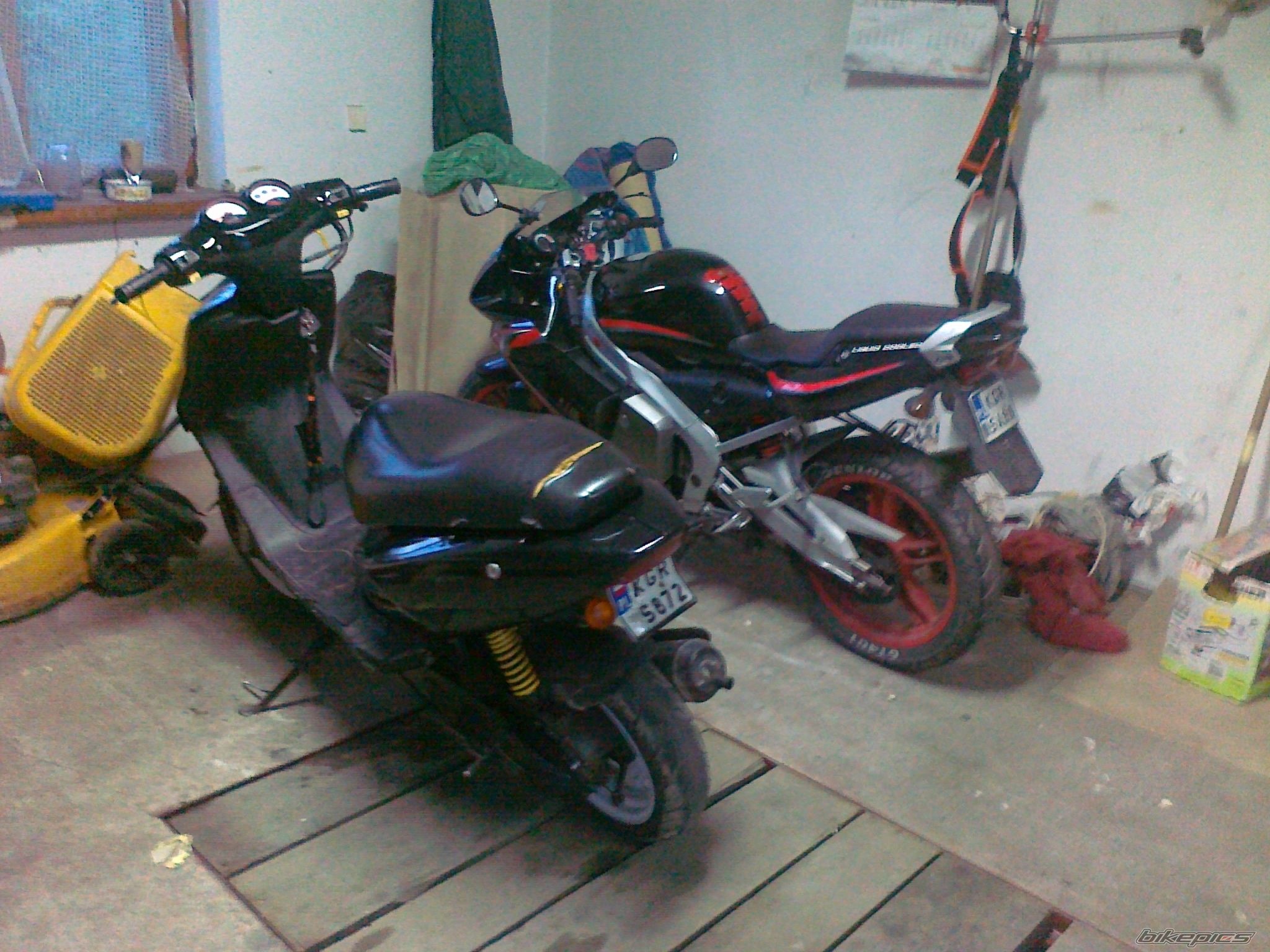 Photo 2564438